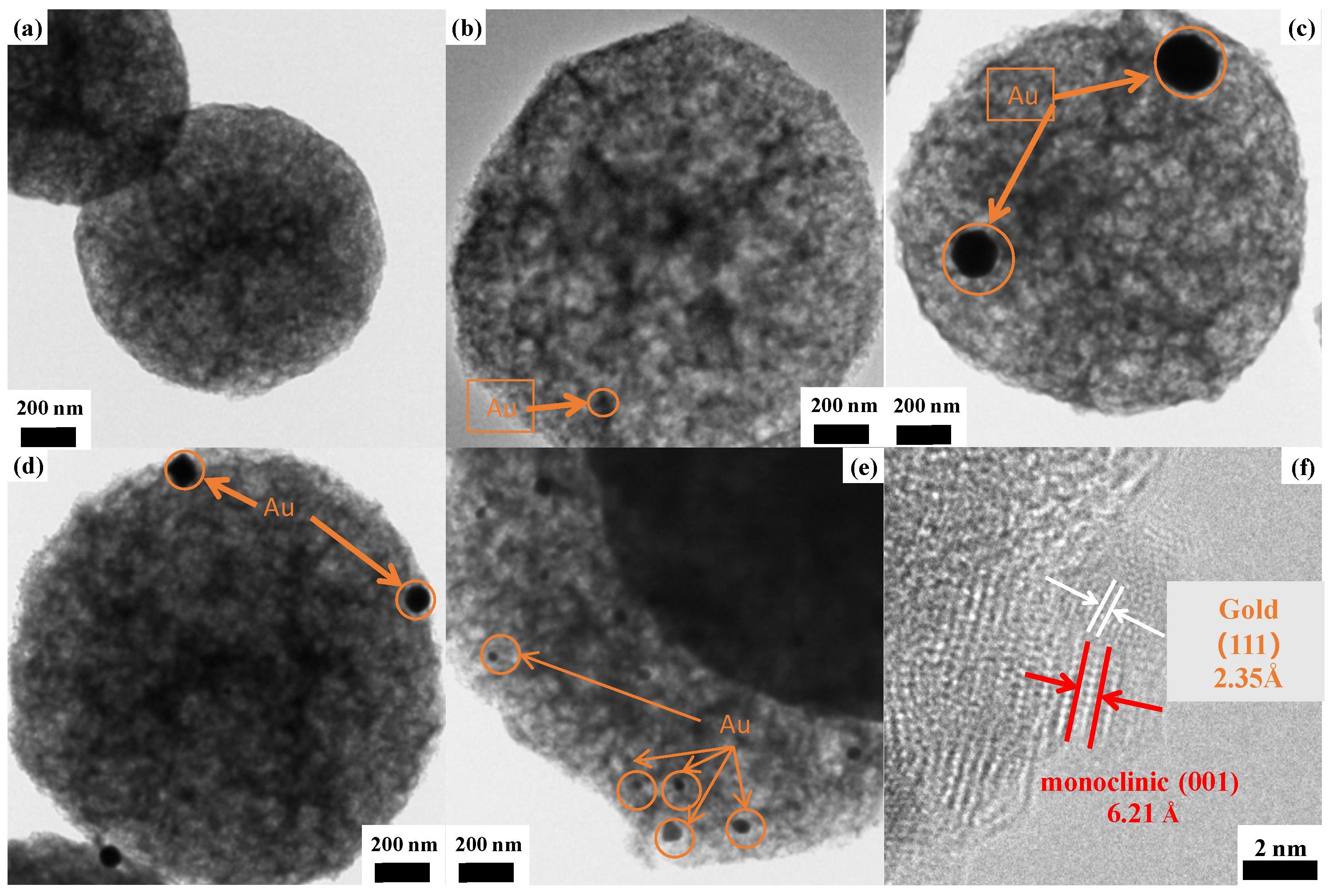Catalysts 13 01078 g002