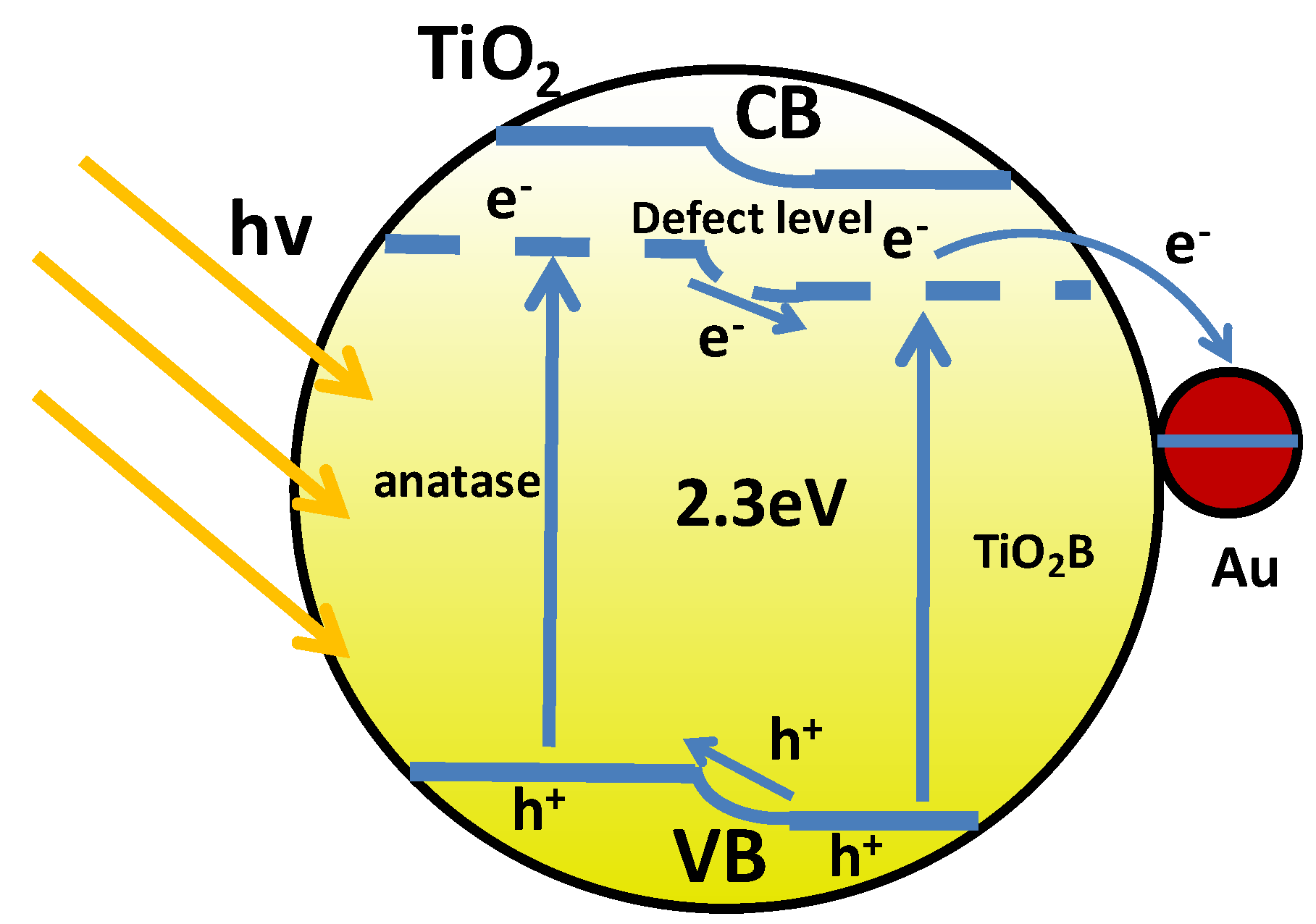 Catalysts 13 01078 g007
