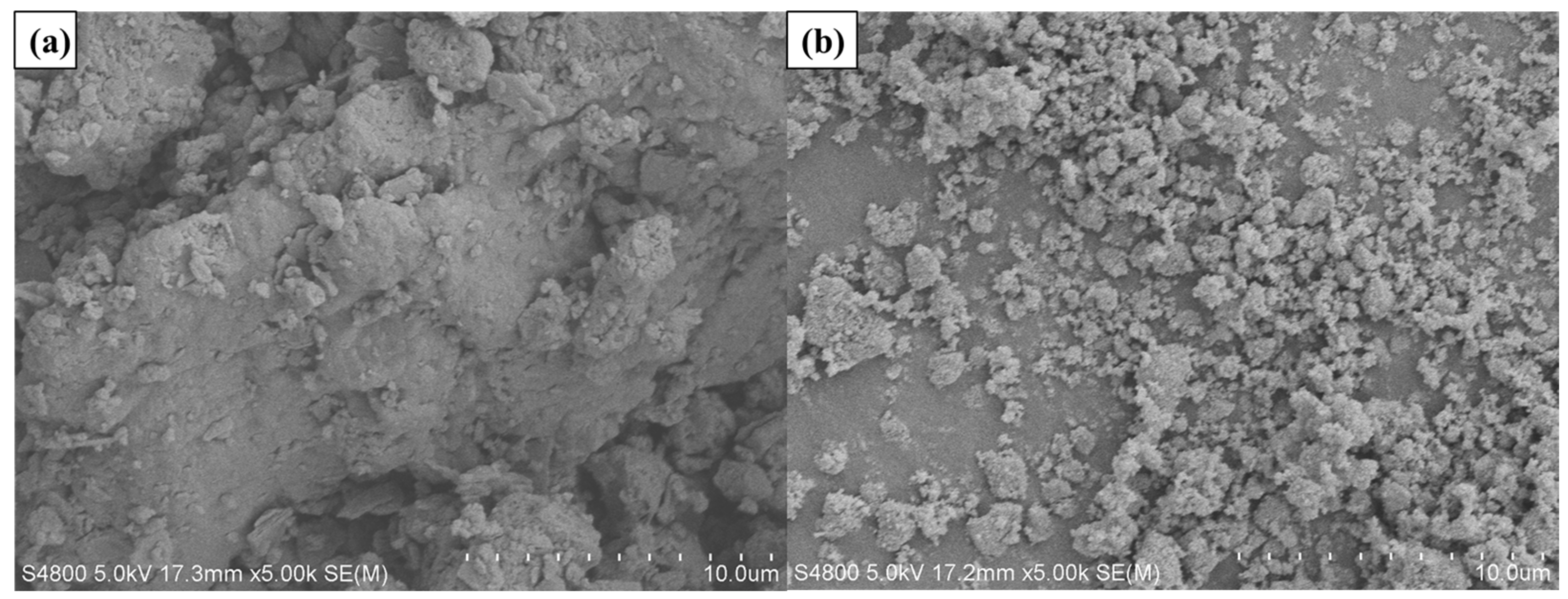 Catalysts 13 01083 g018