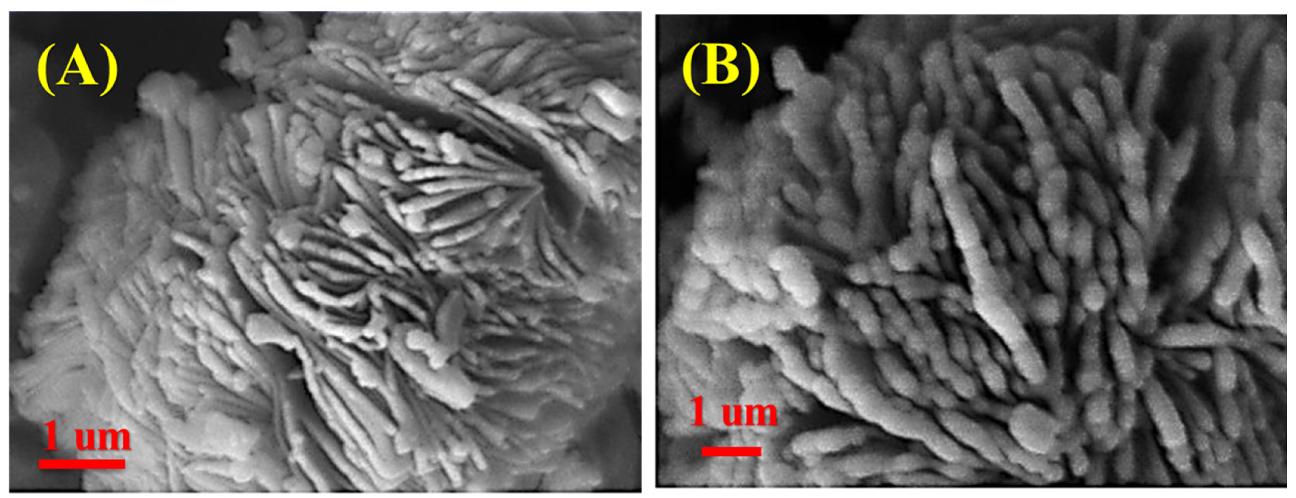 Catalysts 13 01085 g002 Catalysts 13 01085 g002