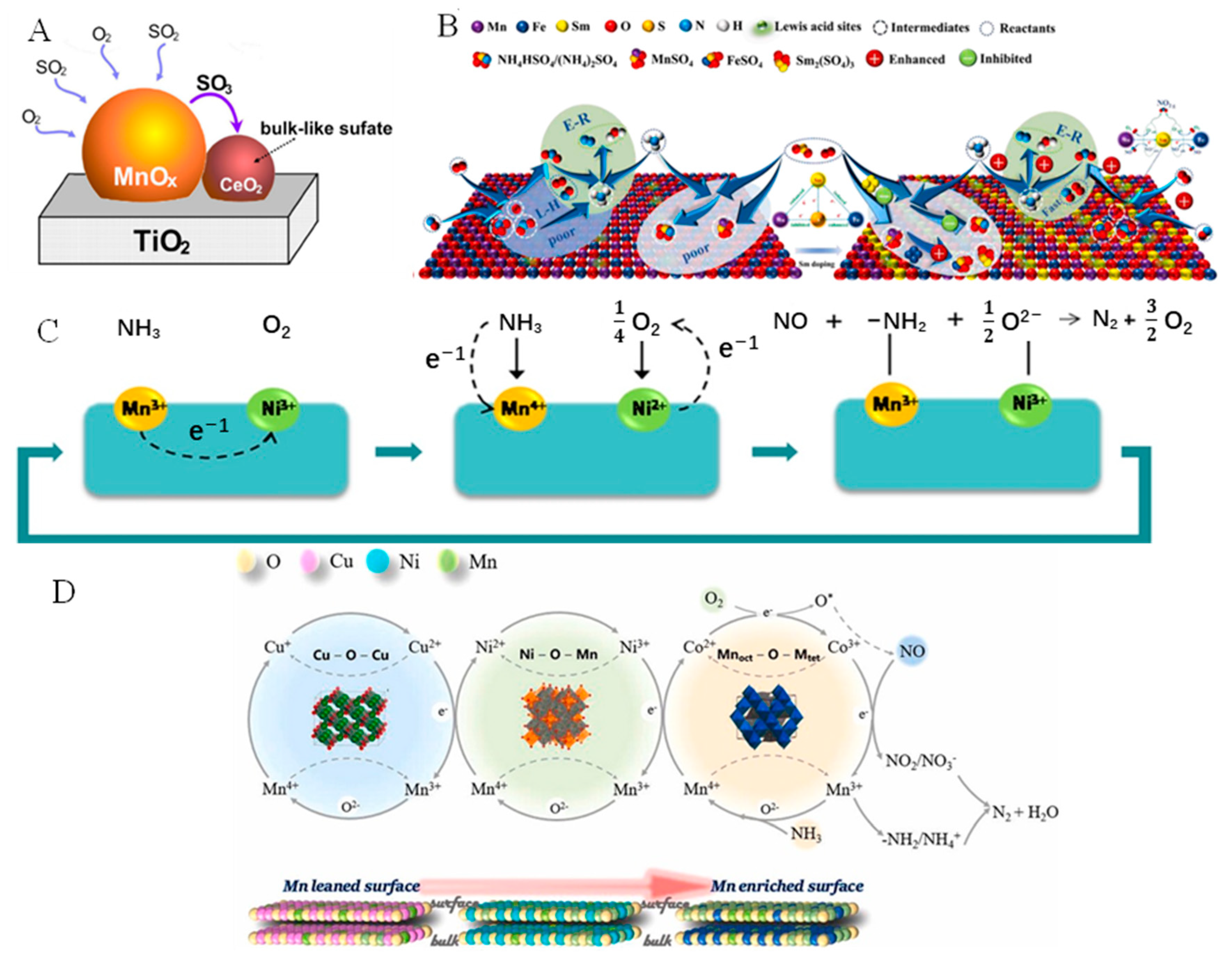 Catalysts 13 01086 g004