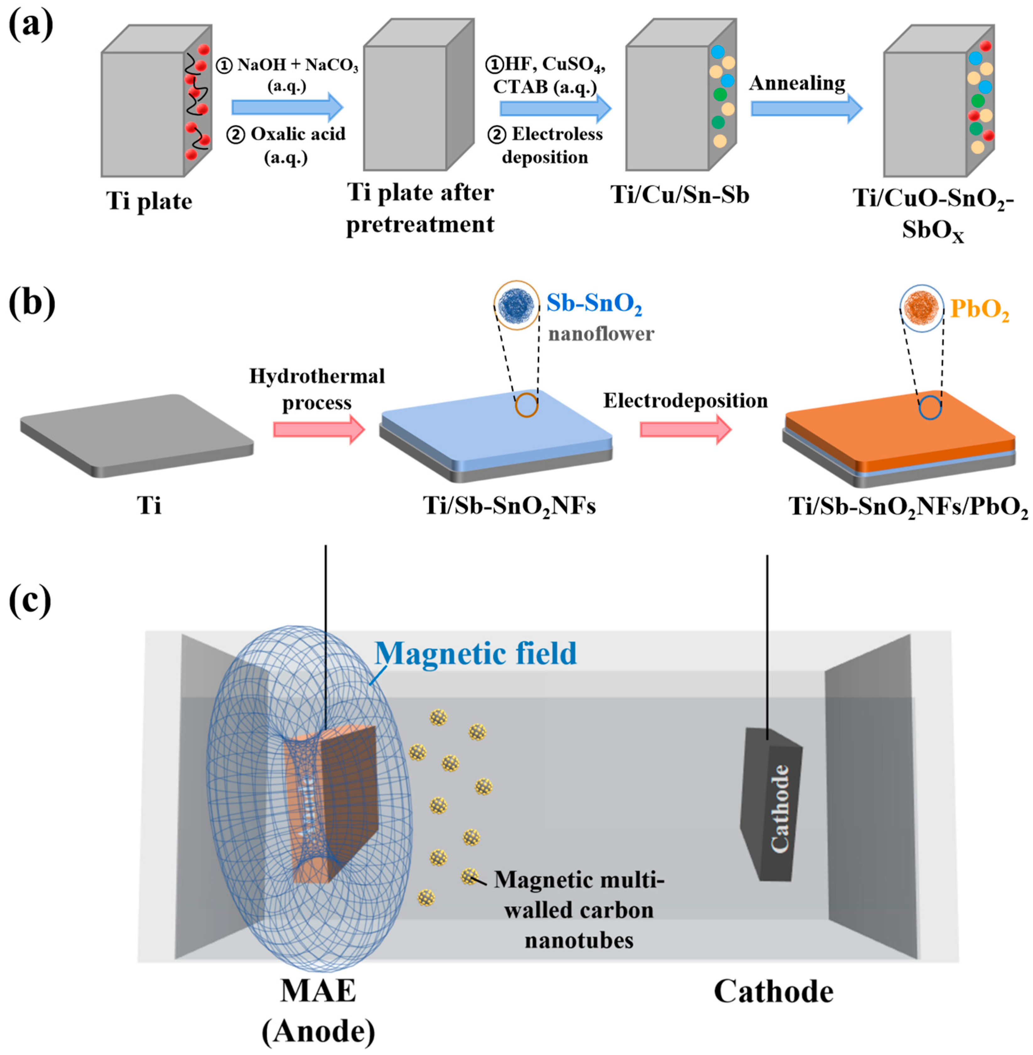 Catalysts 13 01096 g005