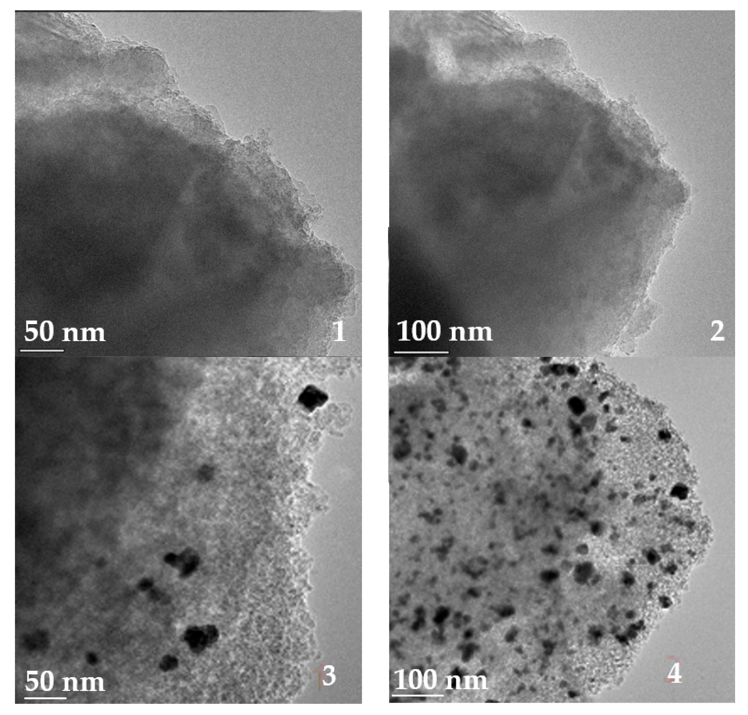 Catalysts 13 01100 g004 Catalysts 13 01100 g004
