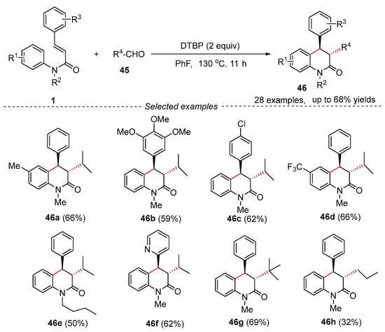 PHCL-BF-62.jpg