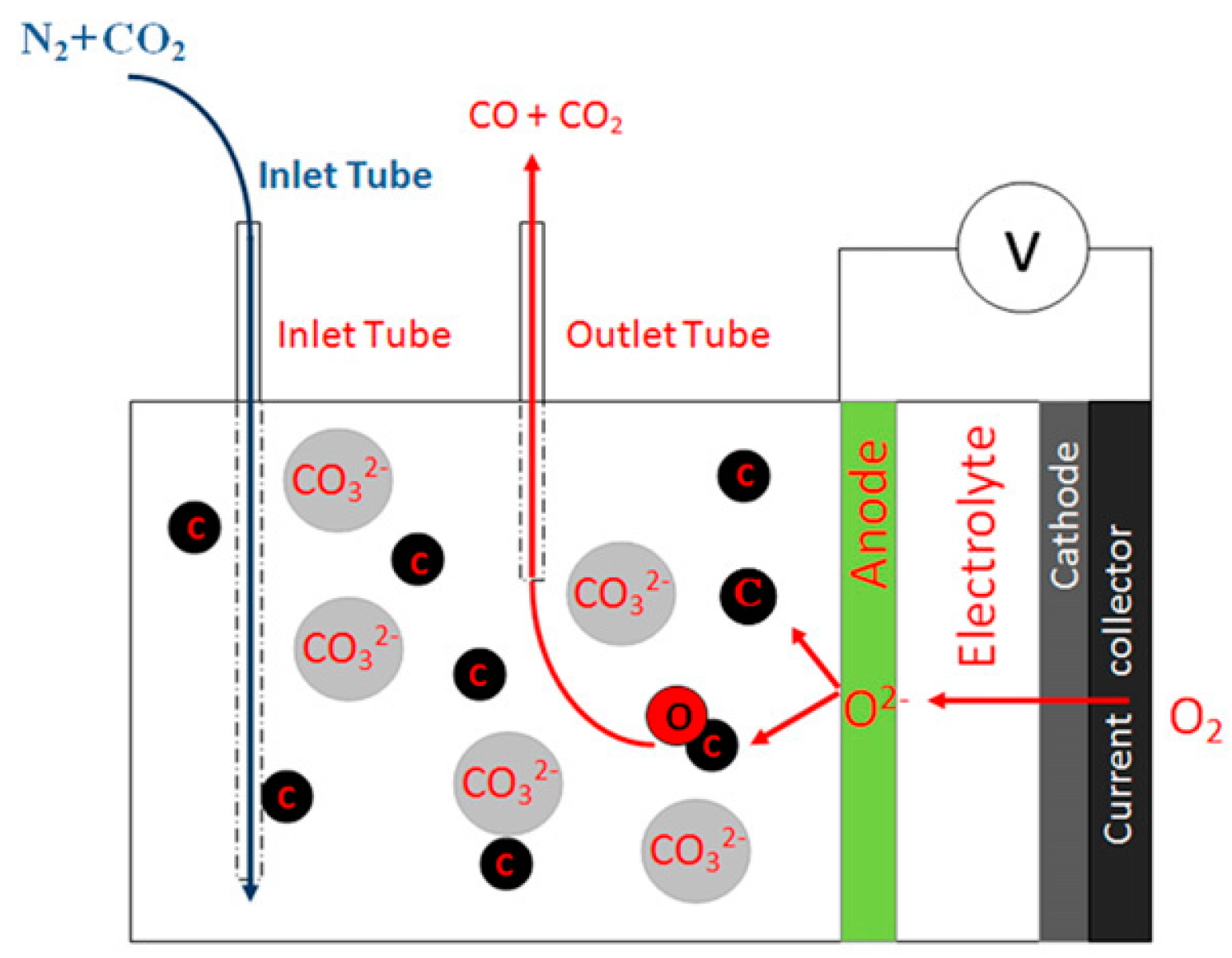Catalysts 13 01107 g006