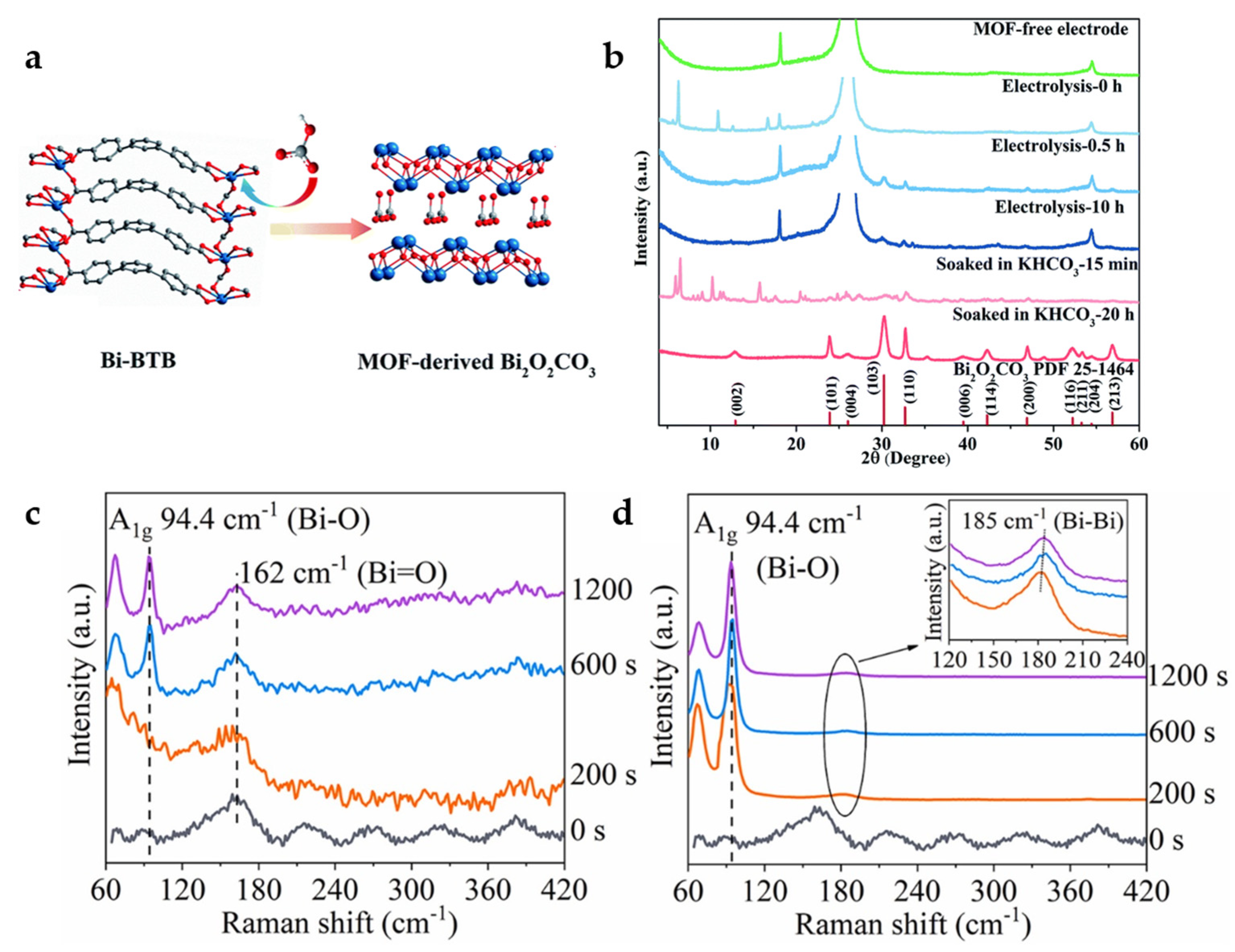 Catalysts 13 01109 g004