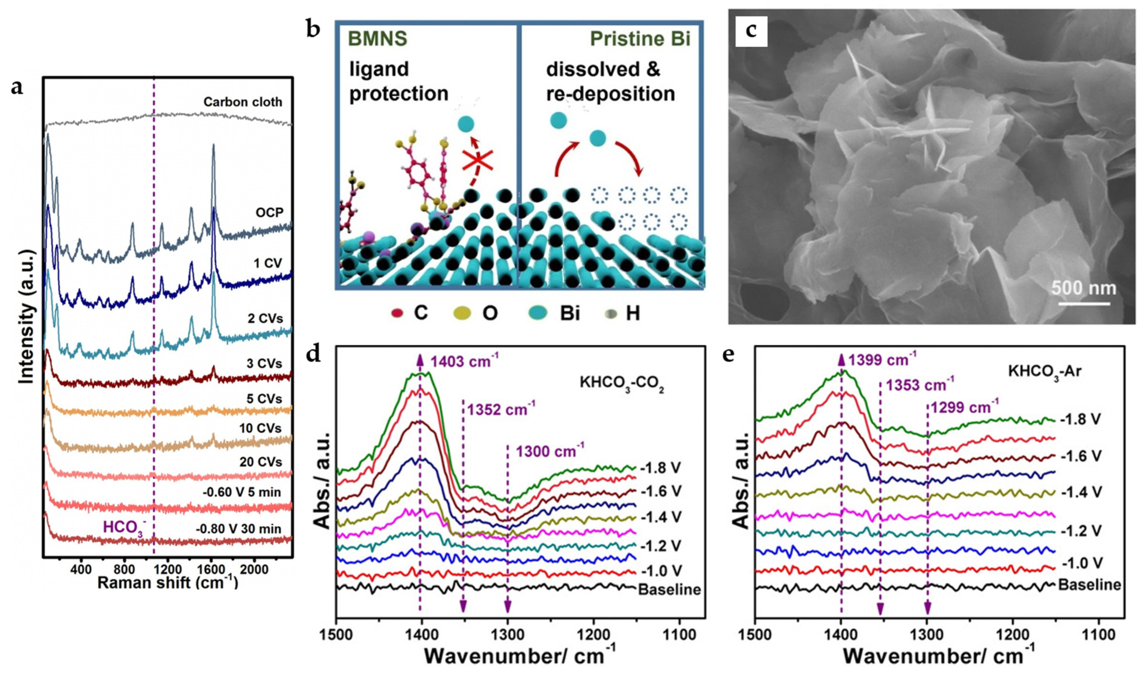 Catalysts 13 01109 g011