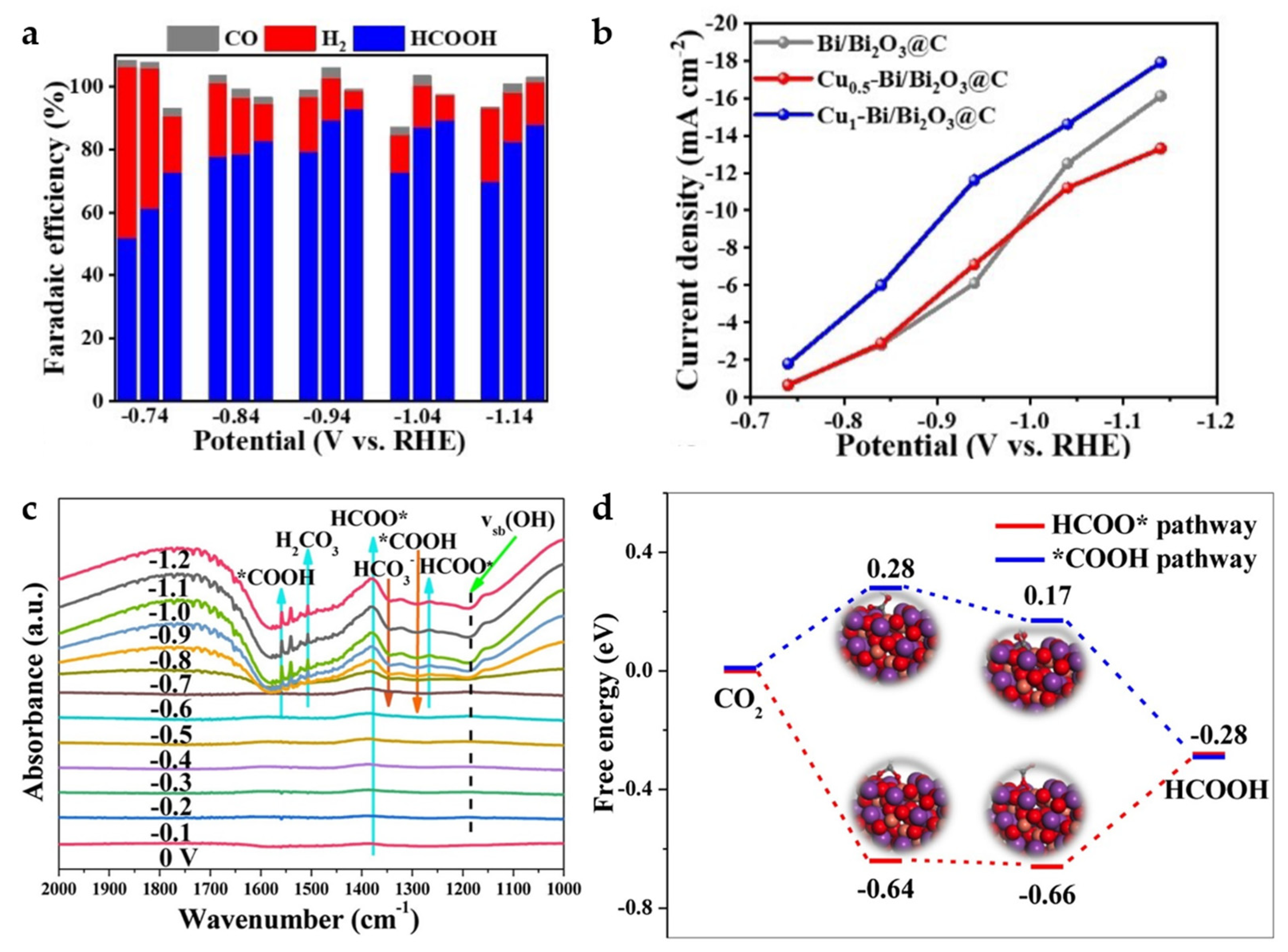 Catalysts 13 01109 g016