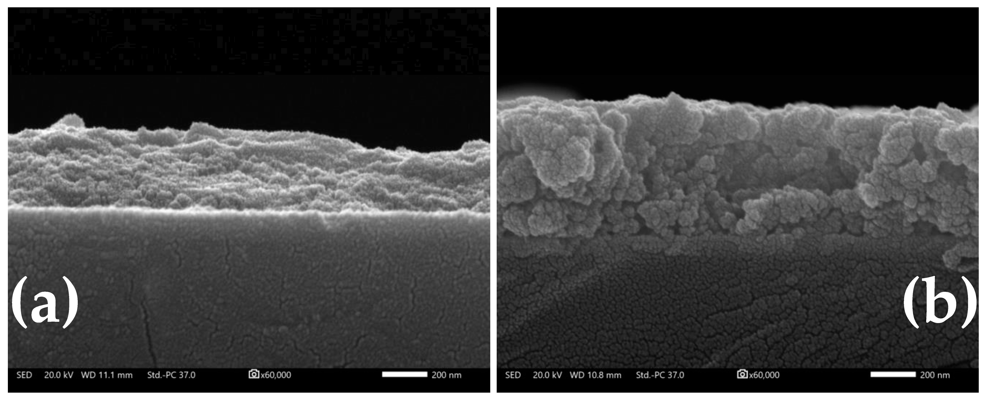 Catalysts 13 01110 g011 Catalysts 13 01110 g011