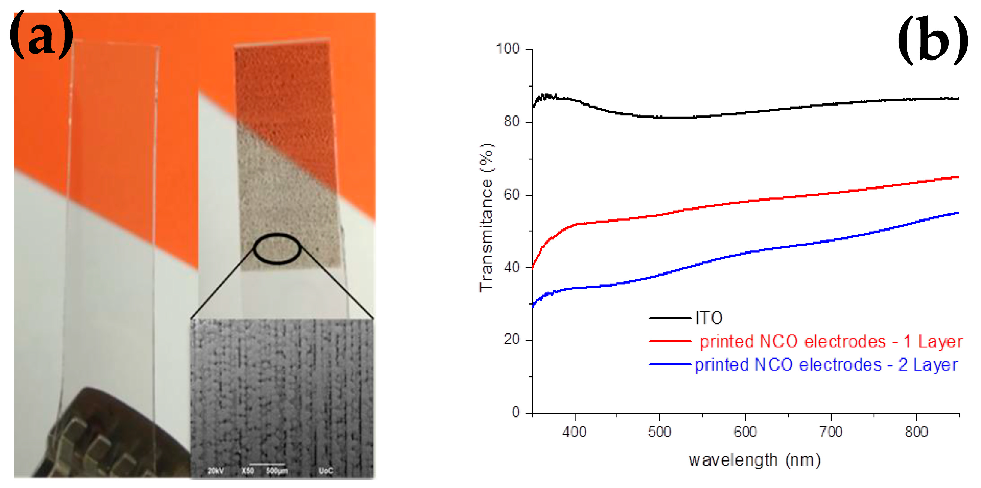 Catalysts 13 01110 g012 Catalysts 13 01110 g012