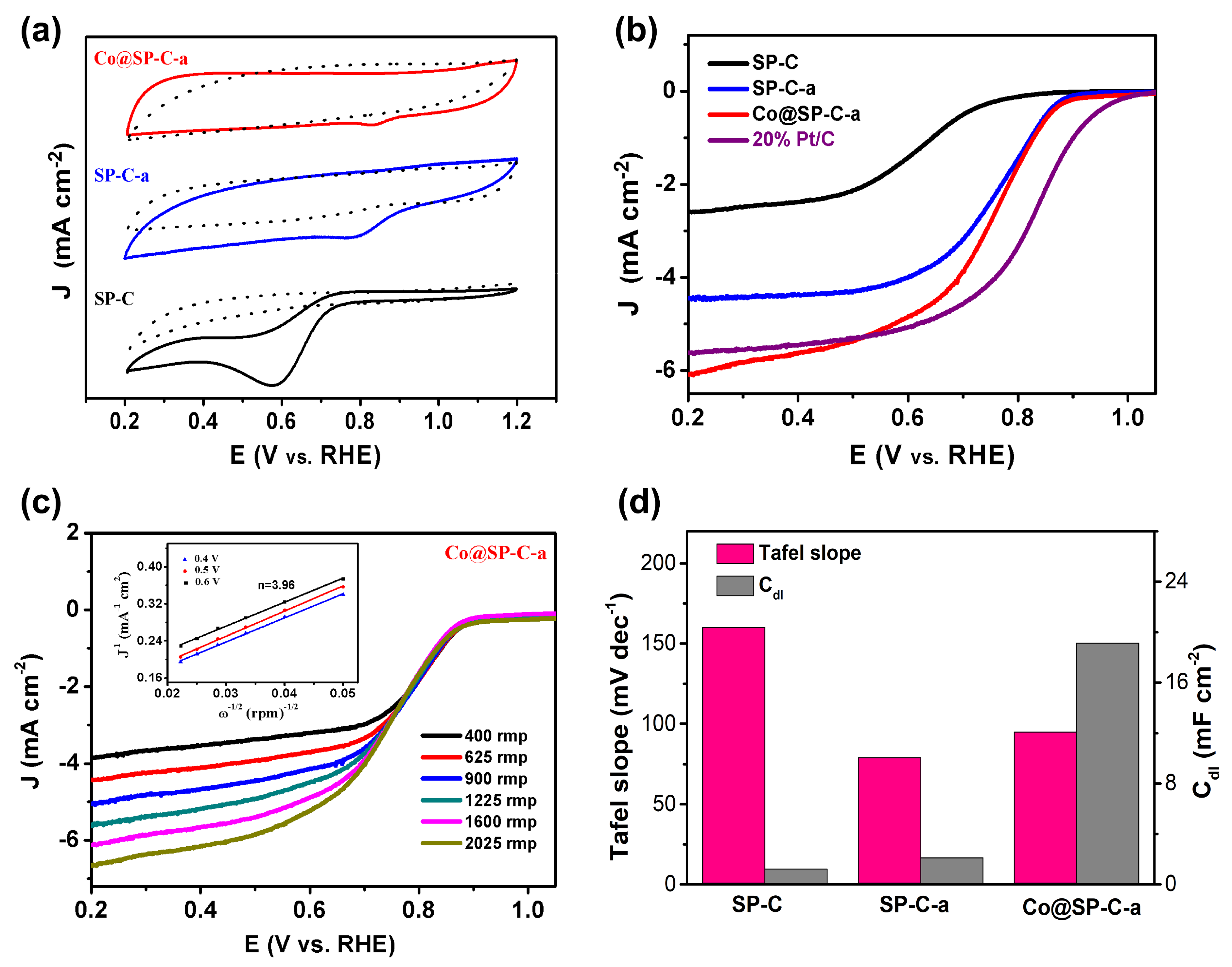 Catalysts 13 01118 g004 Catalysts 13 01118 g004
