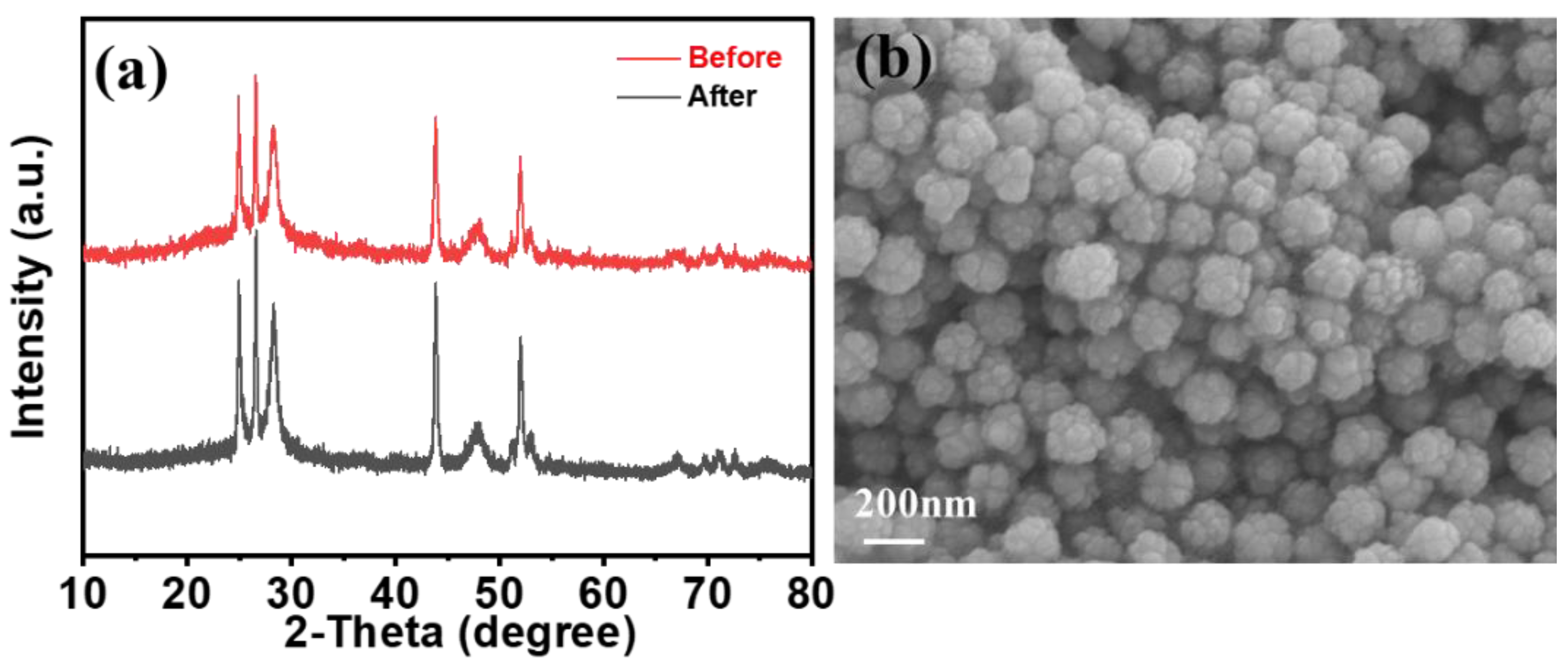 Catalysts 13 01123 g008