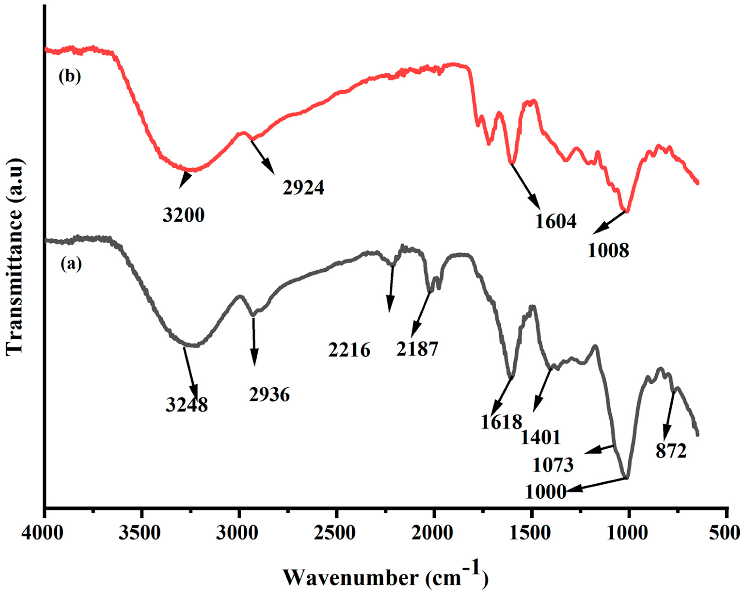 Catalysts 13 01135 g002 Catalysts 13 01135 g002