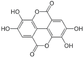 Catalysts 13 01135 i003 Catalysts 13 01135 i003