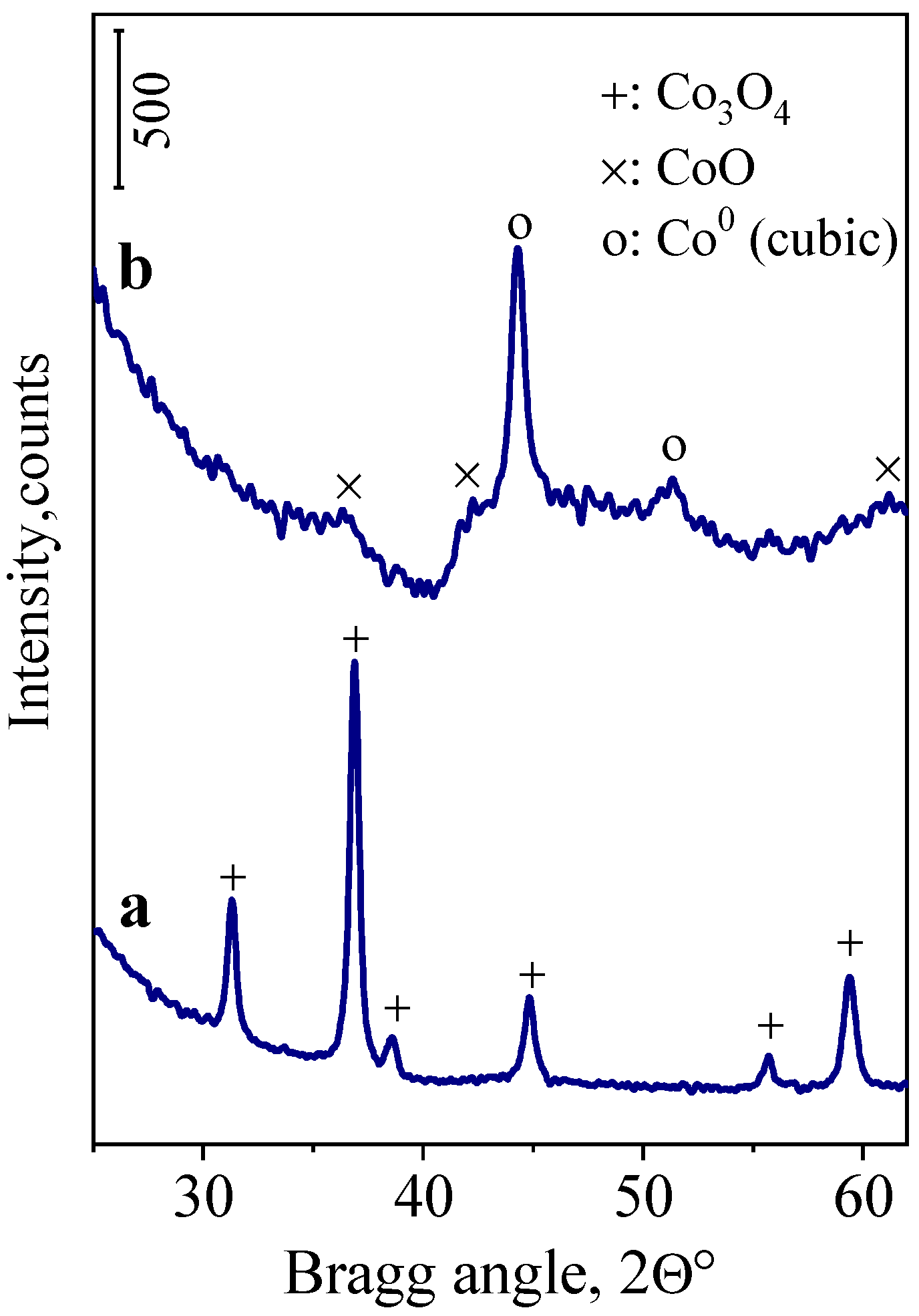 Catalysts 13 01144 g001