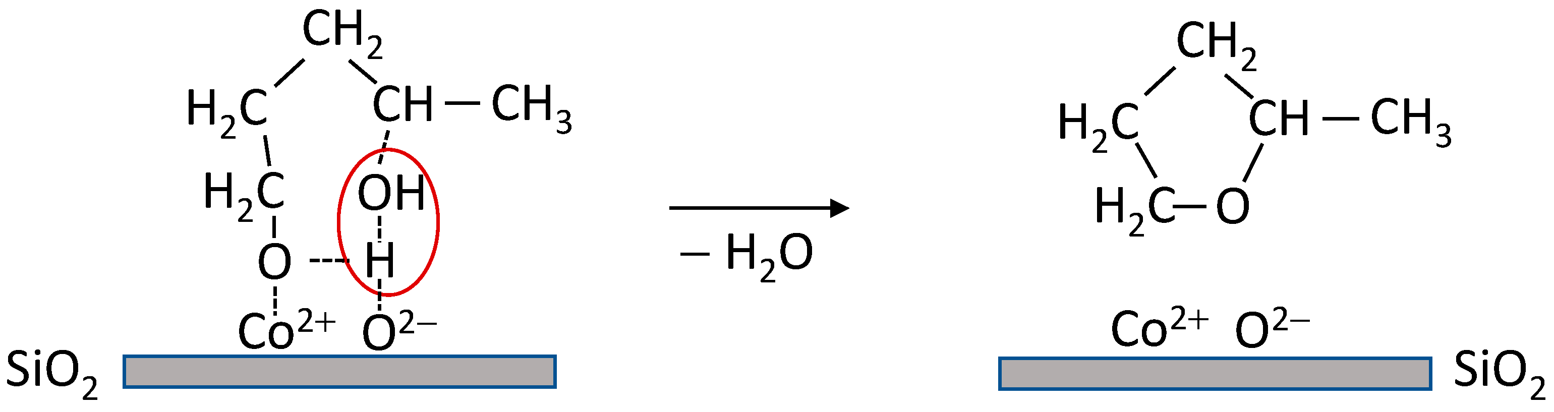 Catalysts 13 01144 sch001