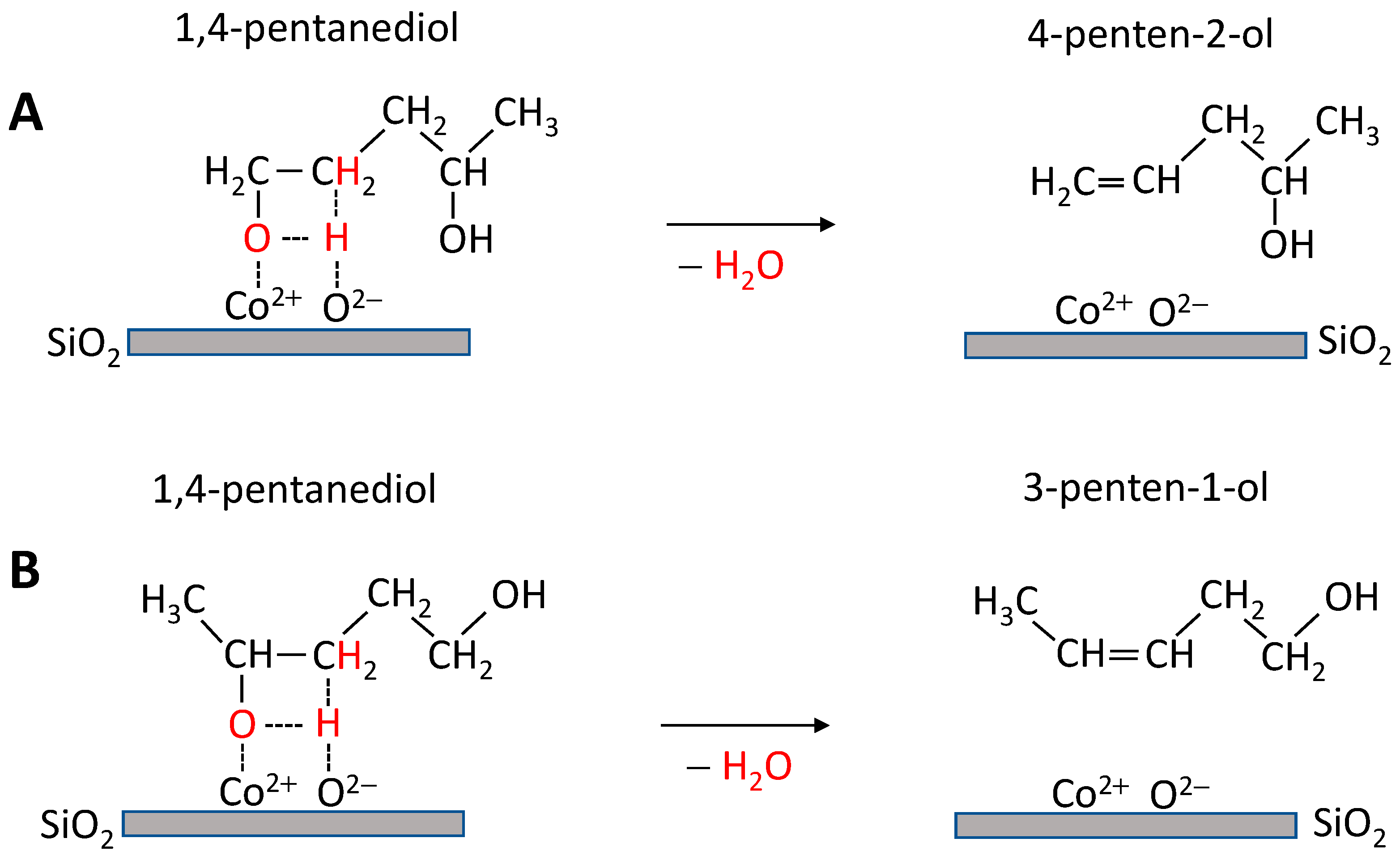 Catalysts 13 01144 sch002