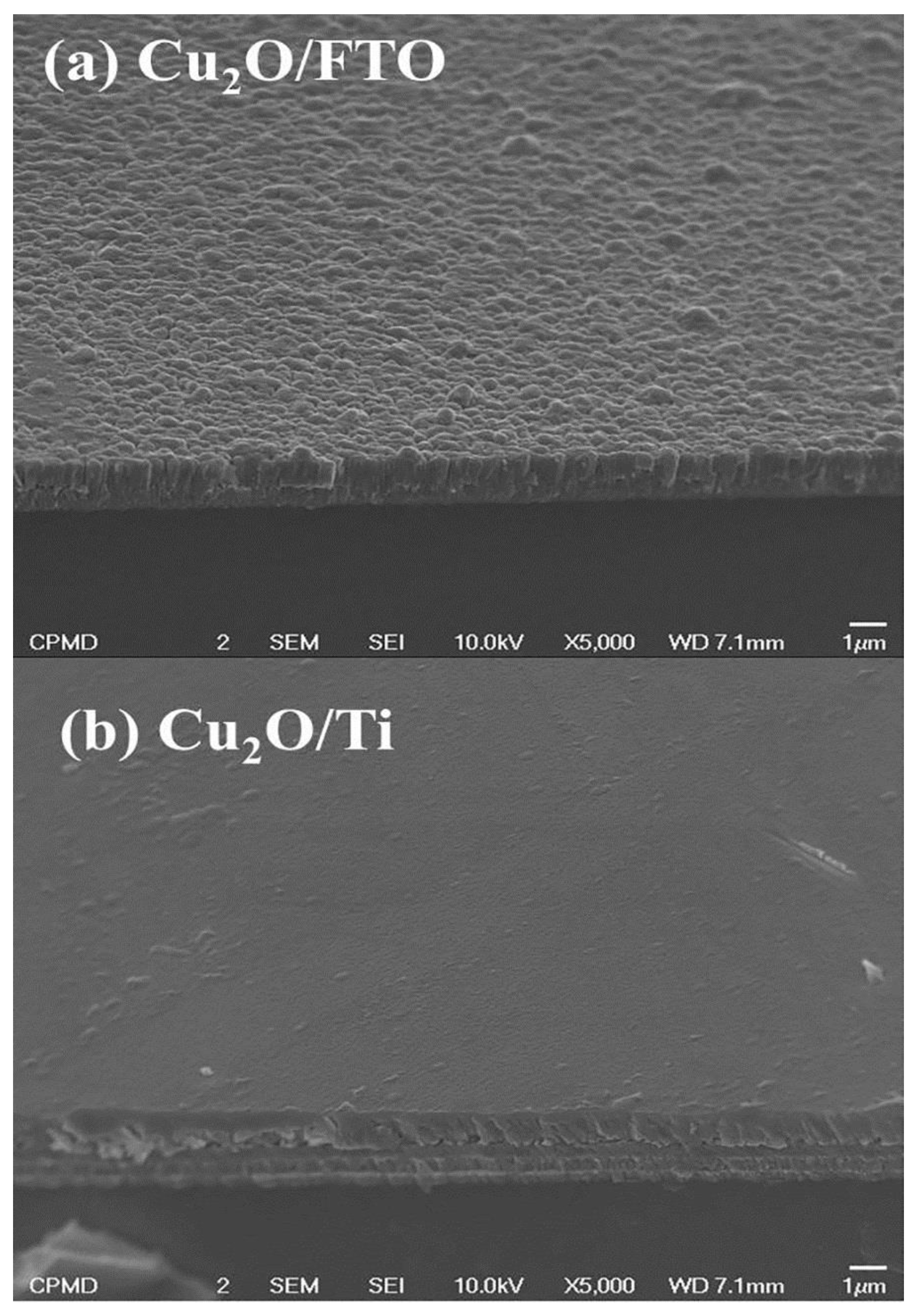 Catalysts 13 01145 g004 Catalysts 13 01145 g004