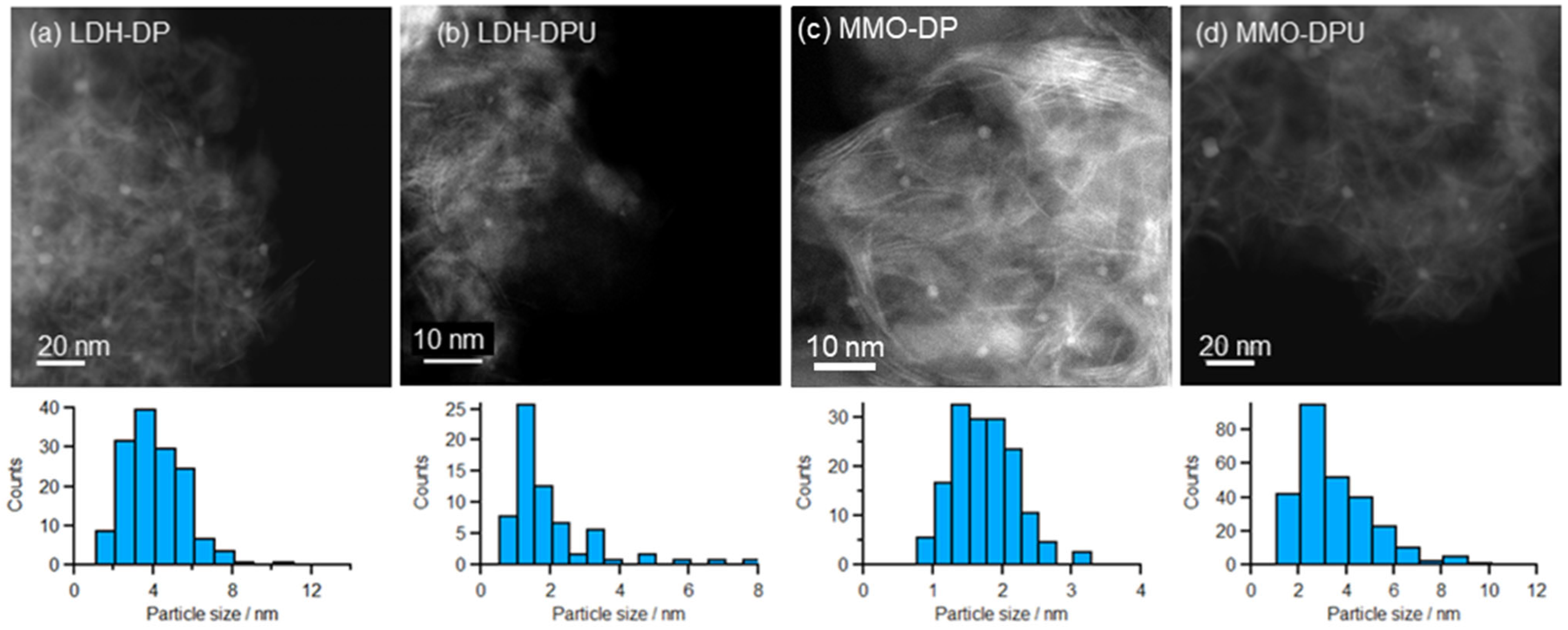 Catalysts 13 01155 g002 Catalysts 13 01155 g002