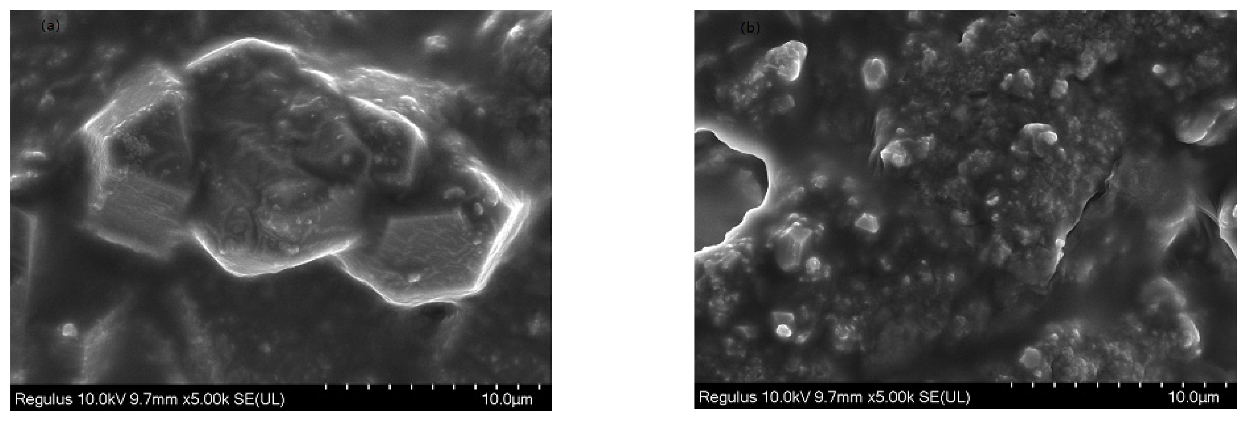 Catalysts 13 01163 g008