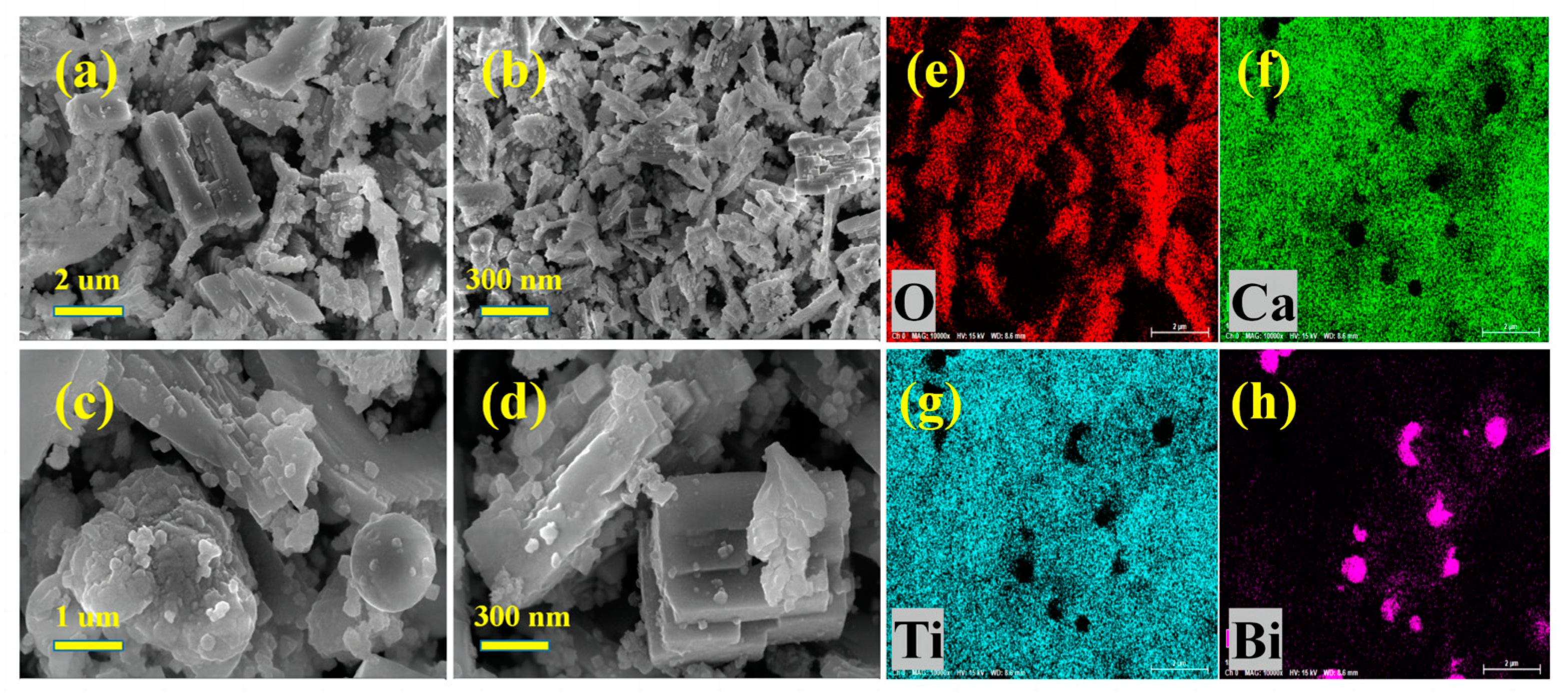Catalysts 13 01169 g003