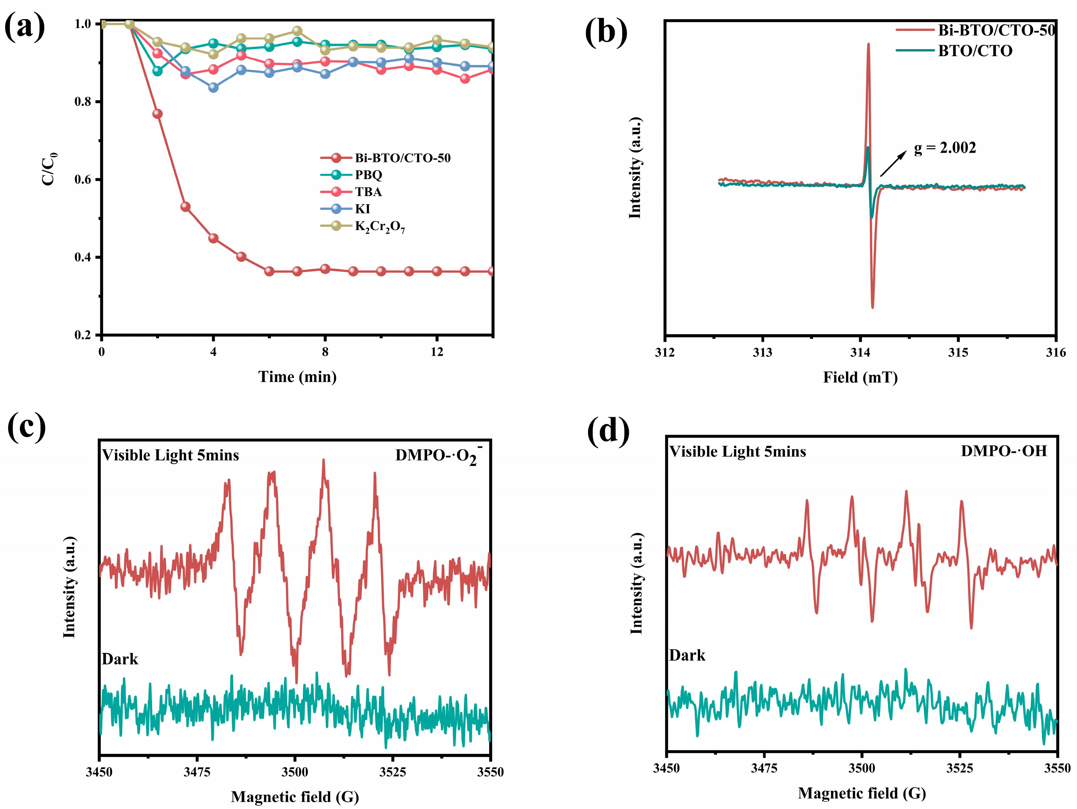 Catalysts 13 01169 g006