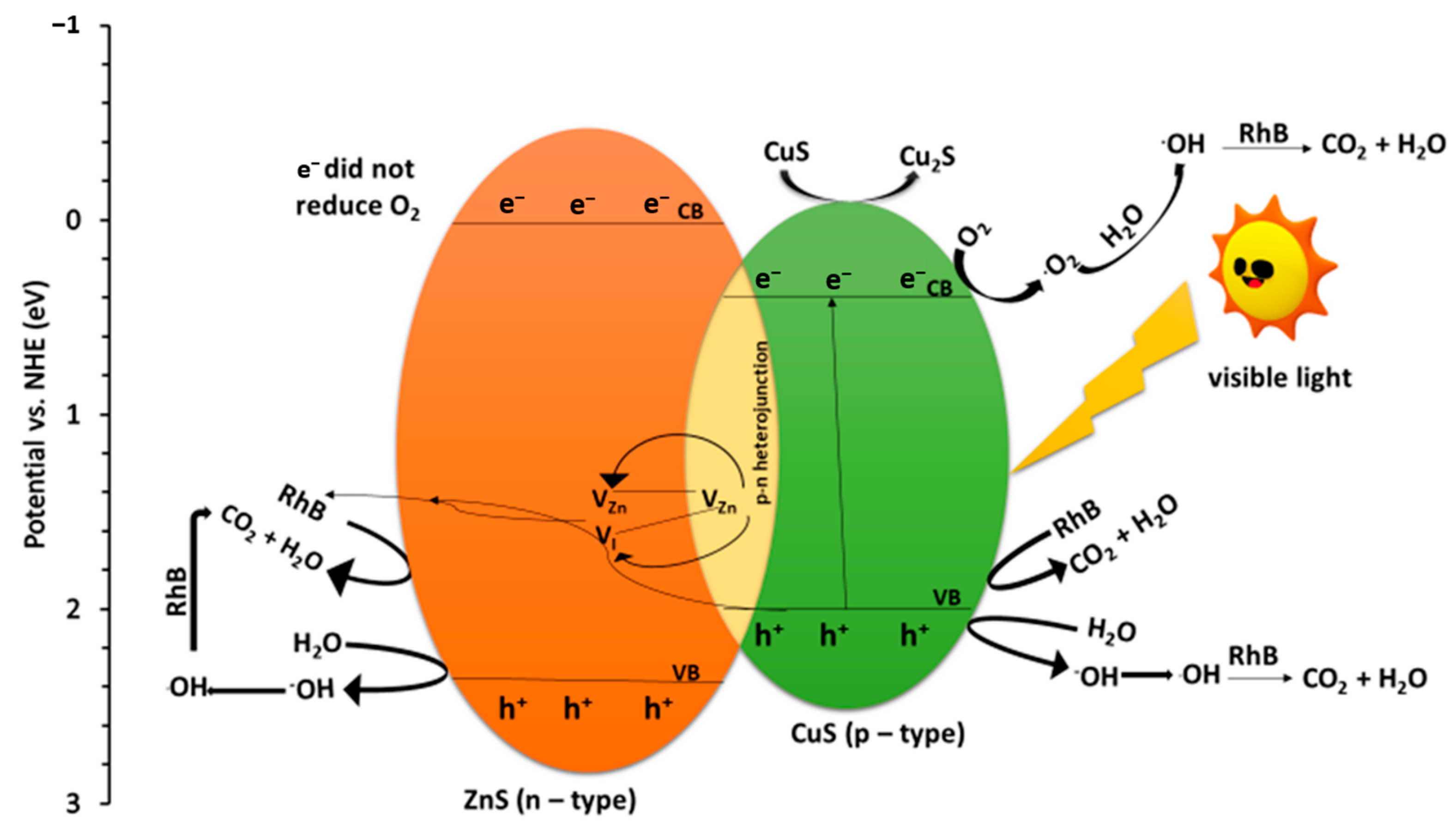 Catalysts 13 01184 g006