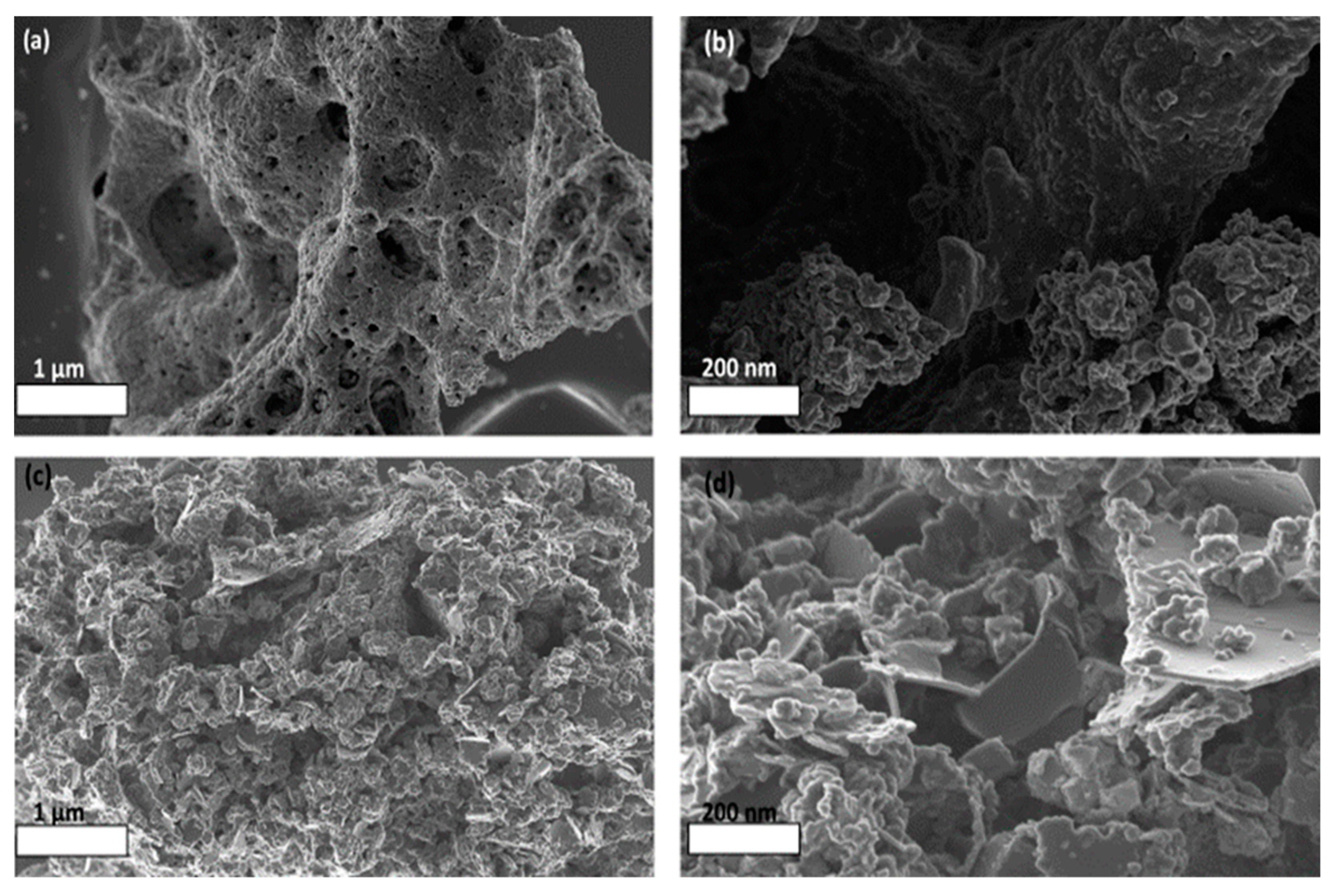 Catalysts 13 01184 g008