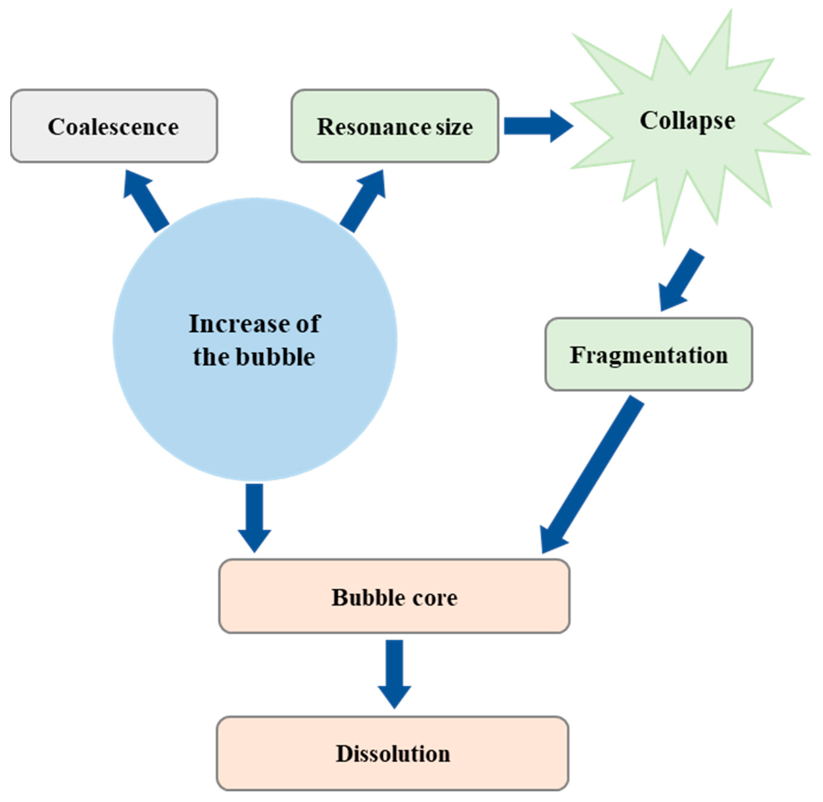 Catalysts 13 01186 g007