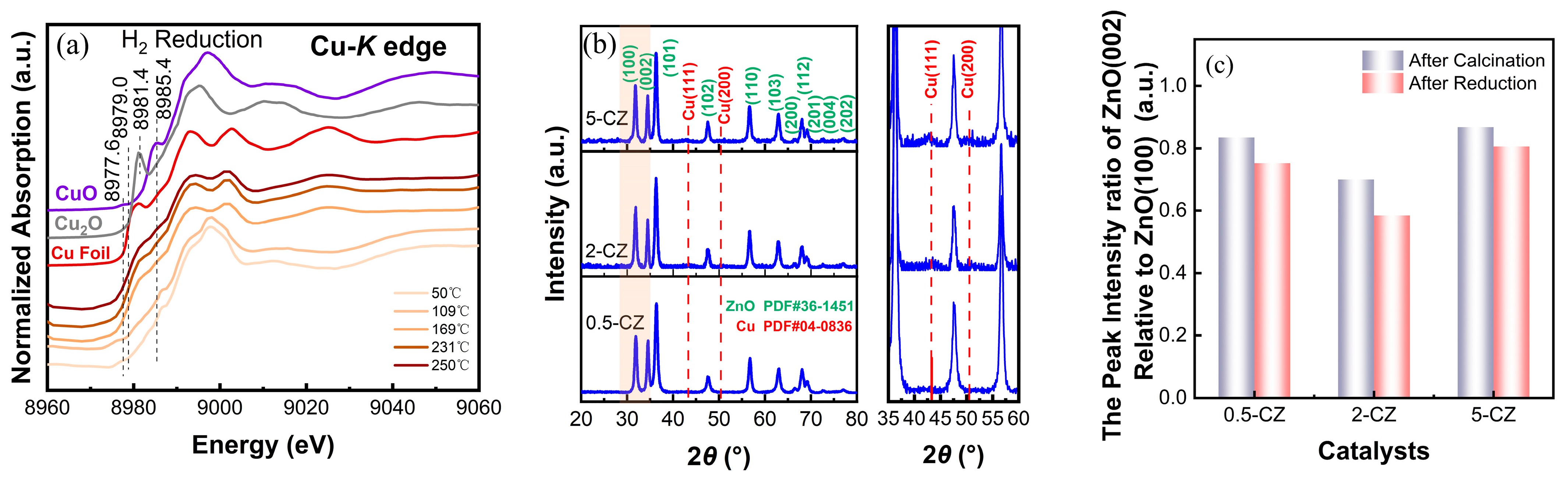 Catalysts 13 01190 g002