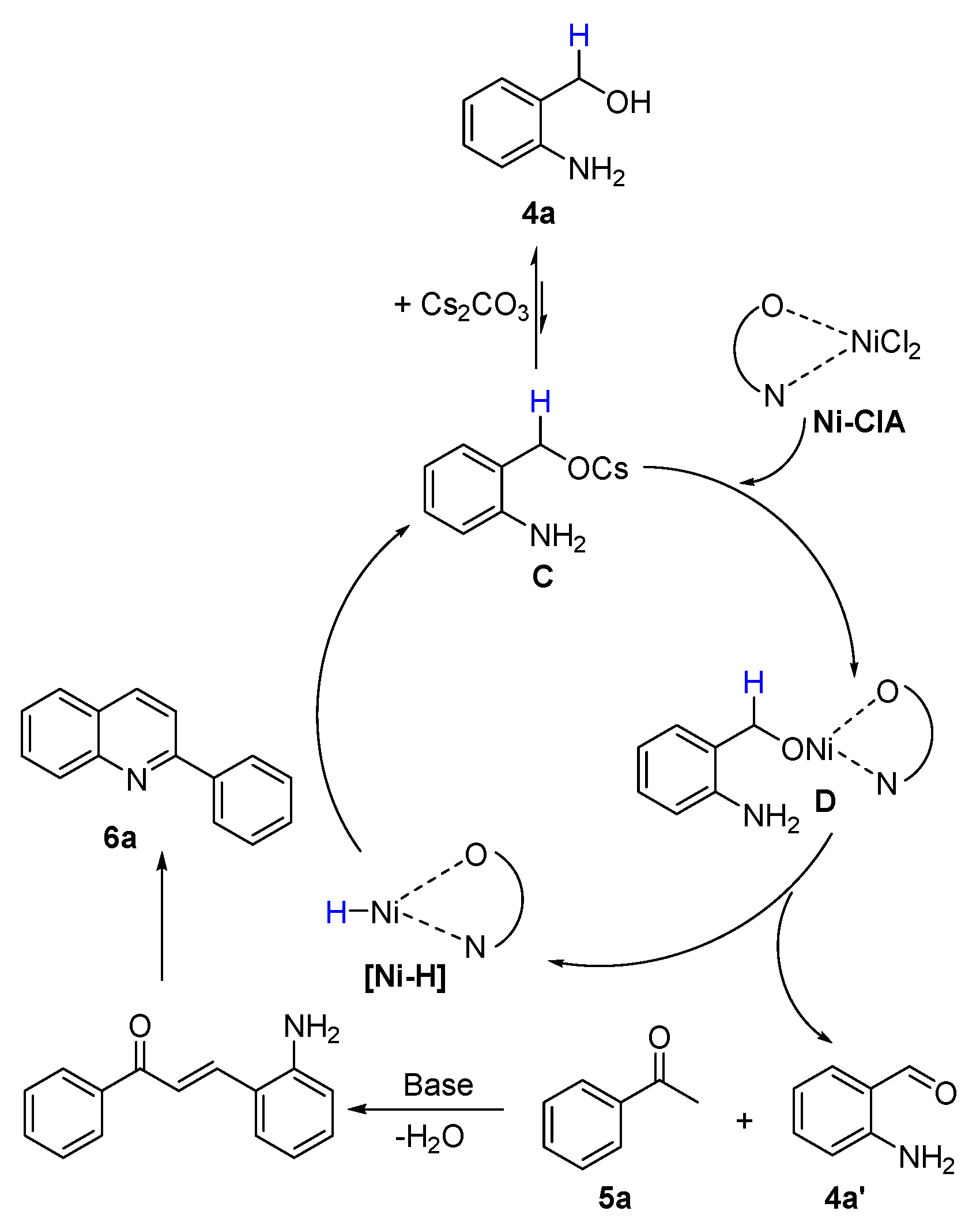 Catalysts 13 01195 sch008