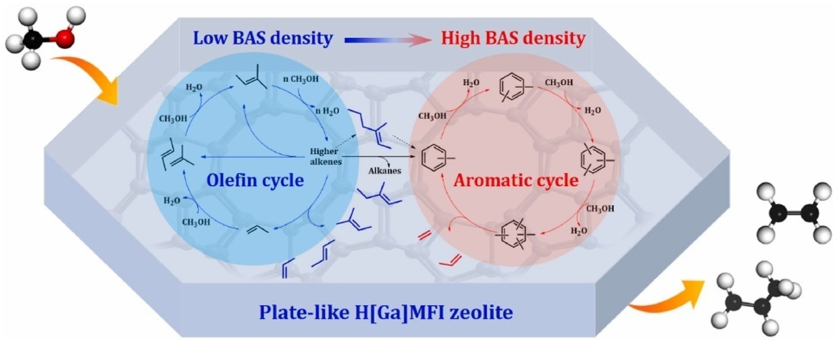 Catalysts 13 01197 g003 Catalysts 13 01197 g003