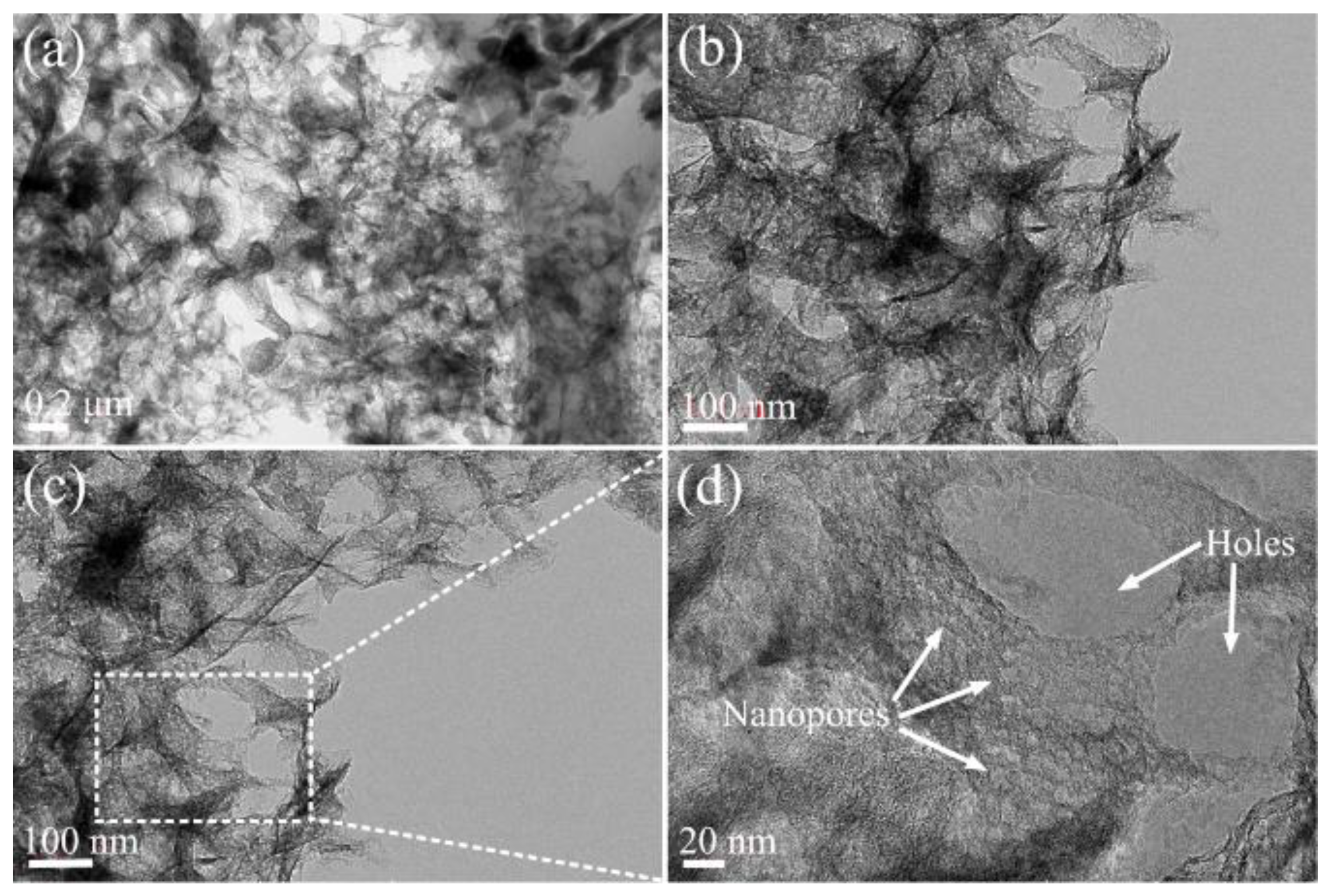 Catalysts 13 01201 g006 Catalysts 13 01201 g006