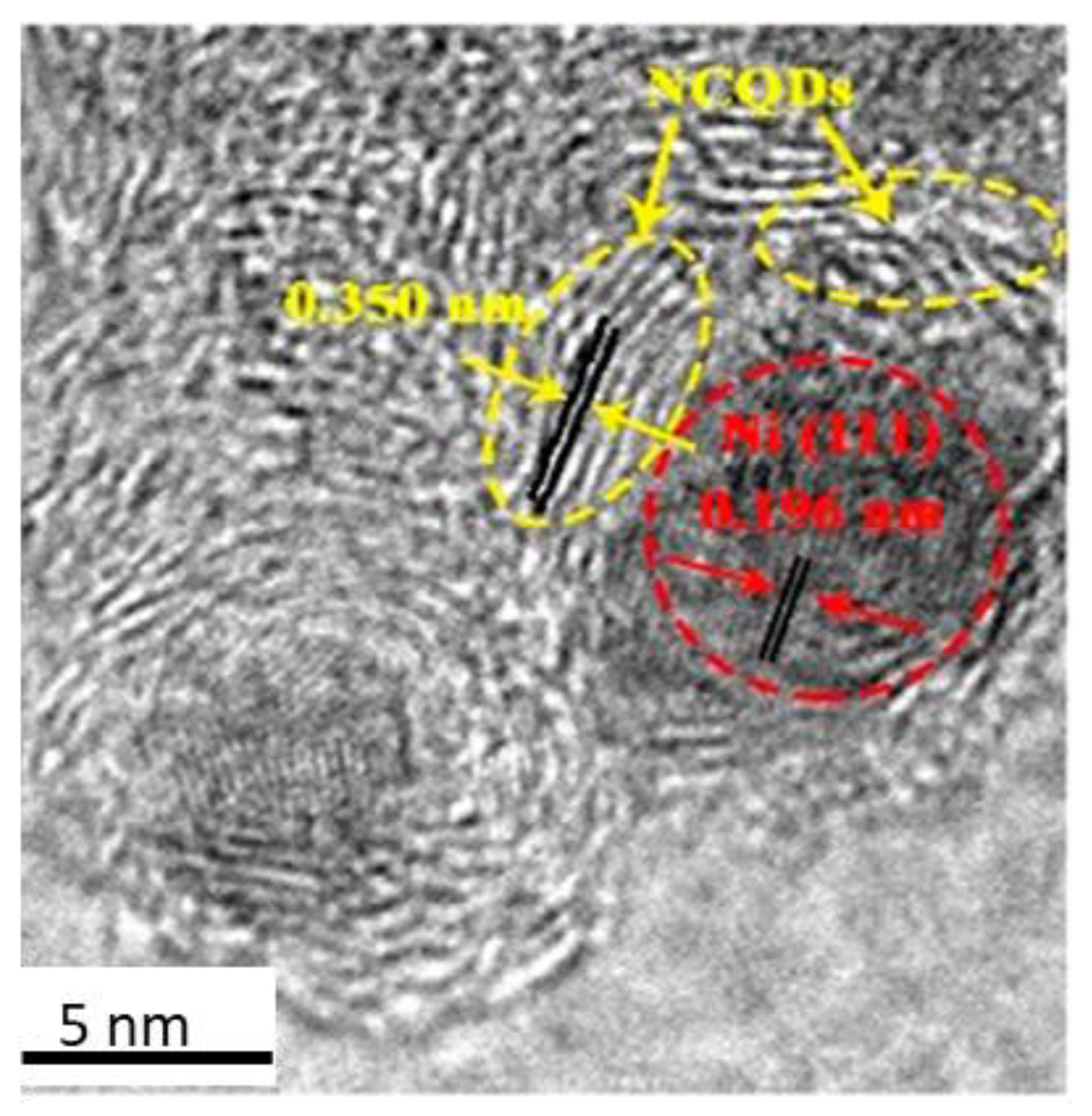 Catalysts 13 01201 g011 Catalysts 13 01201 g011