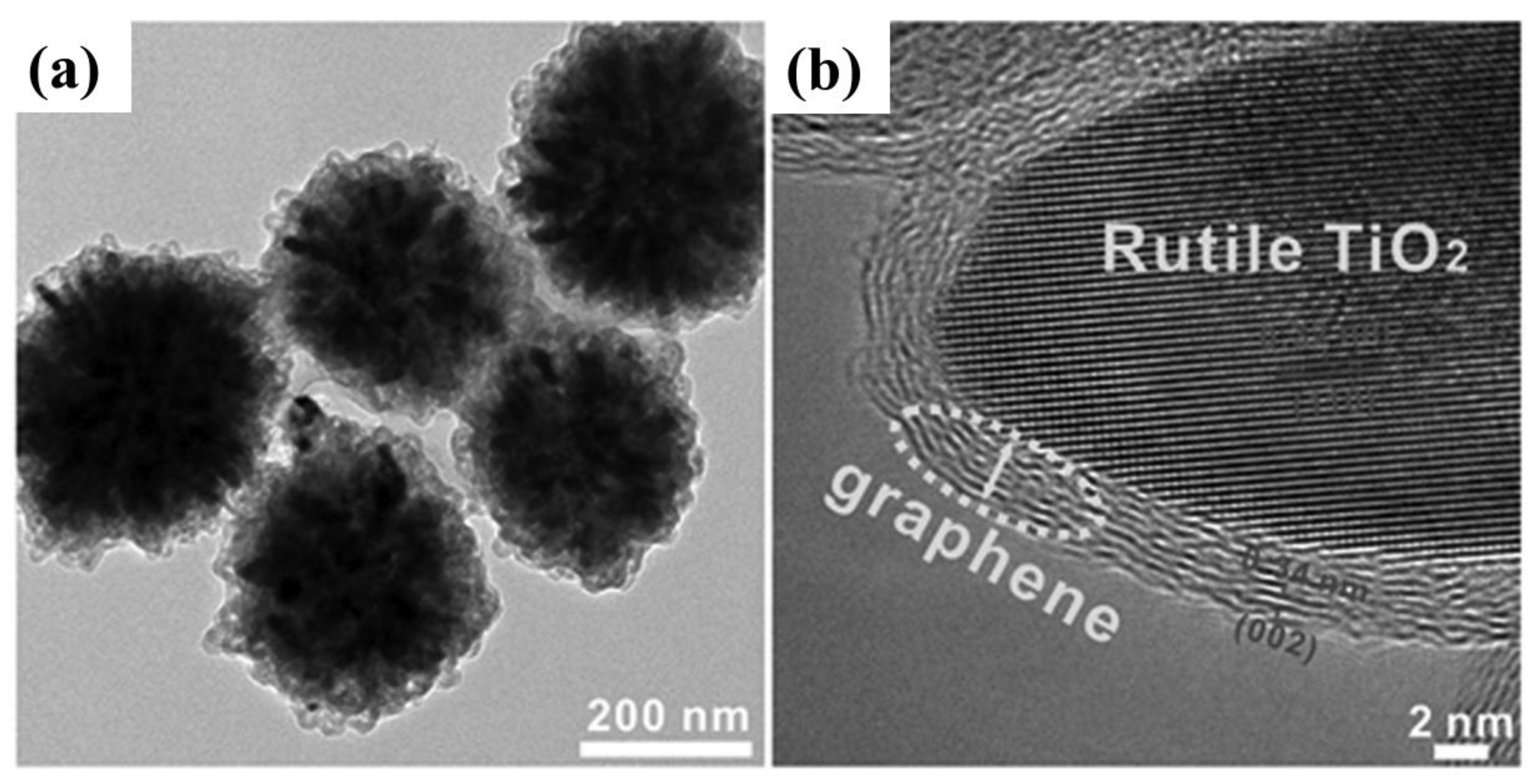 Catalysts 13 01201 g012 Catalysts 13 01201 g012