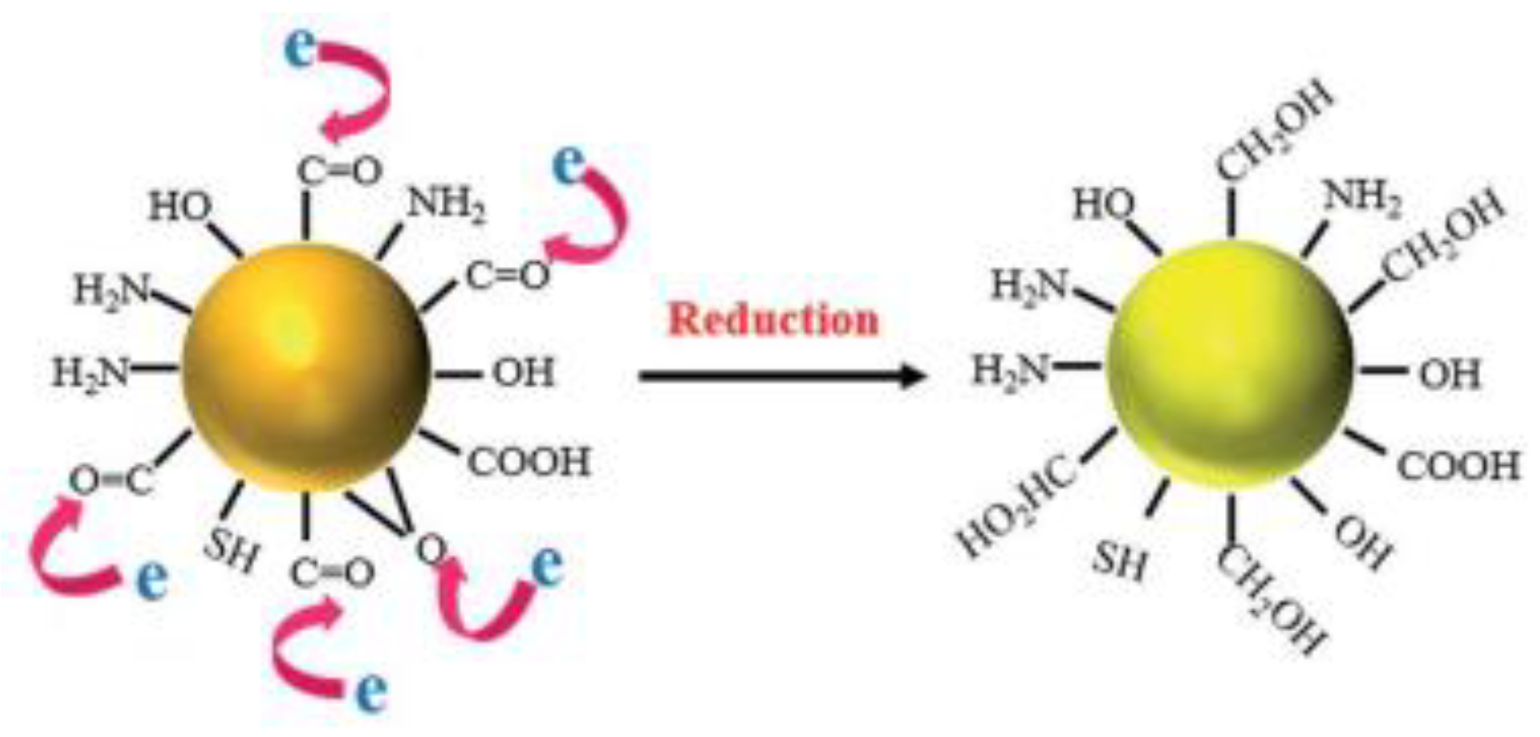 Catalysts 13 01201 g020 Catalysts 13 01201 g020