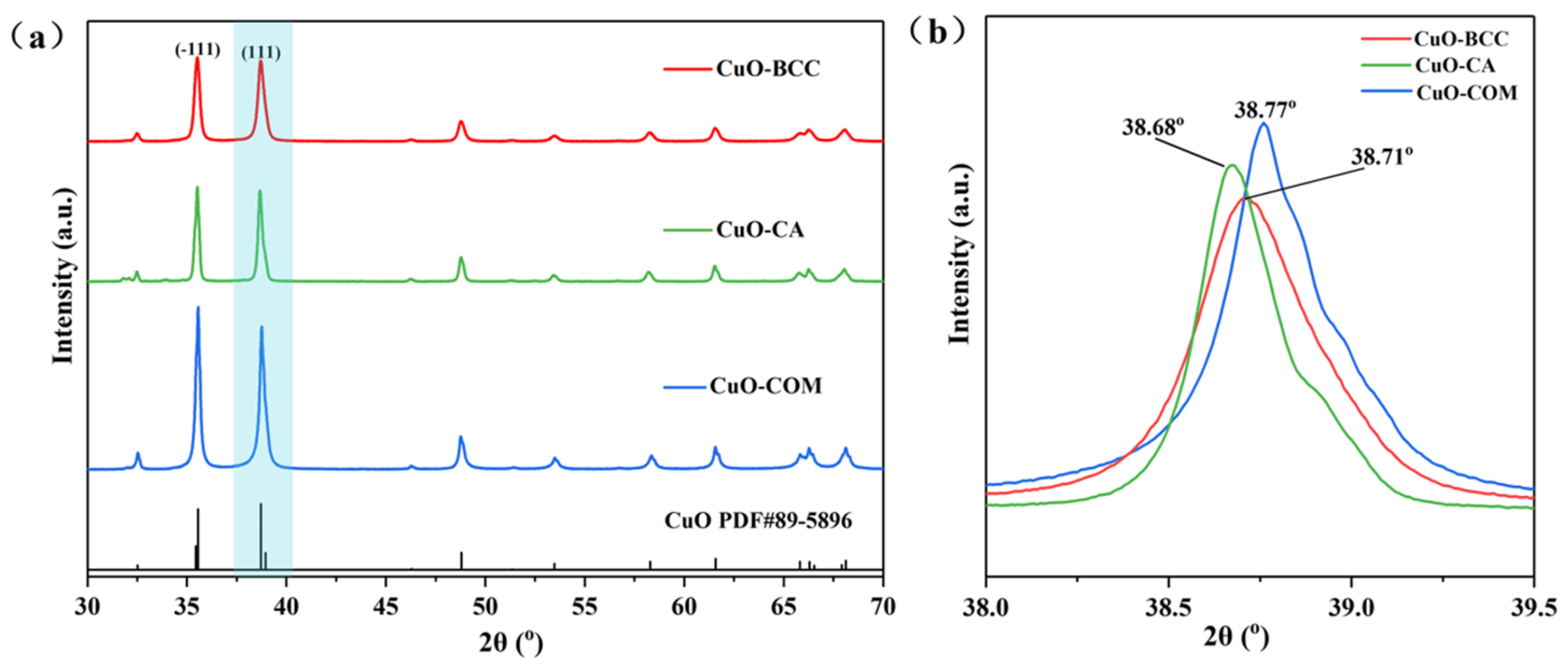 Catalysts 13 01218 g001