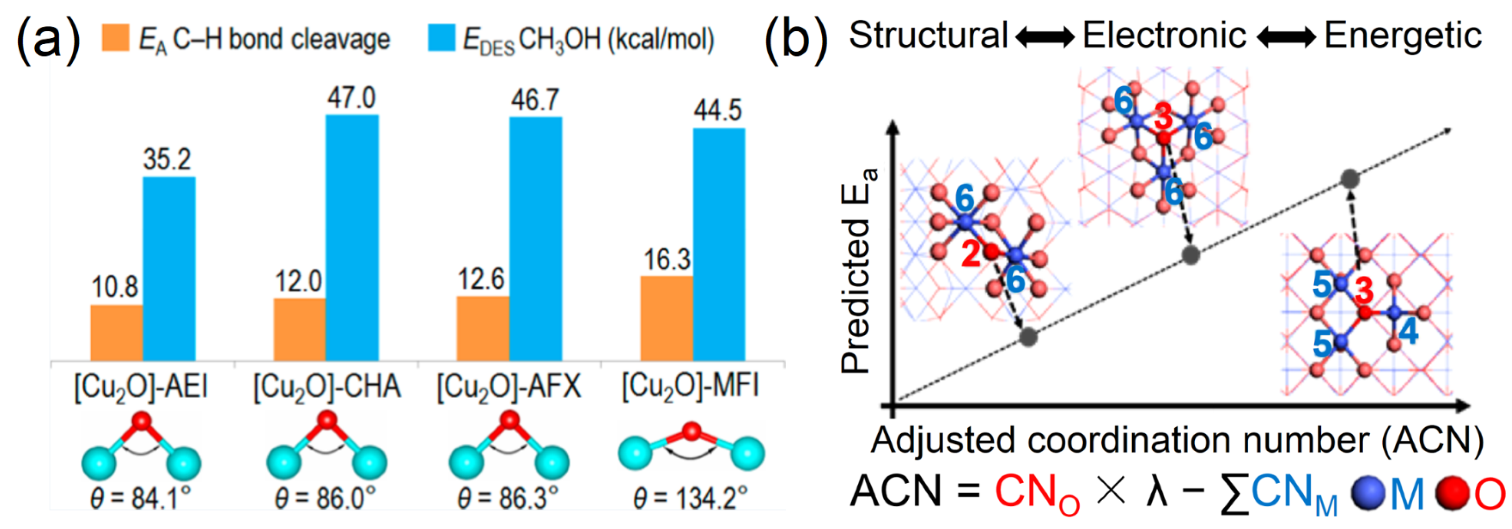 Catalysts 13 01226 g007