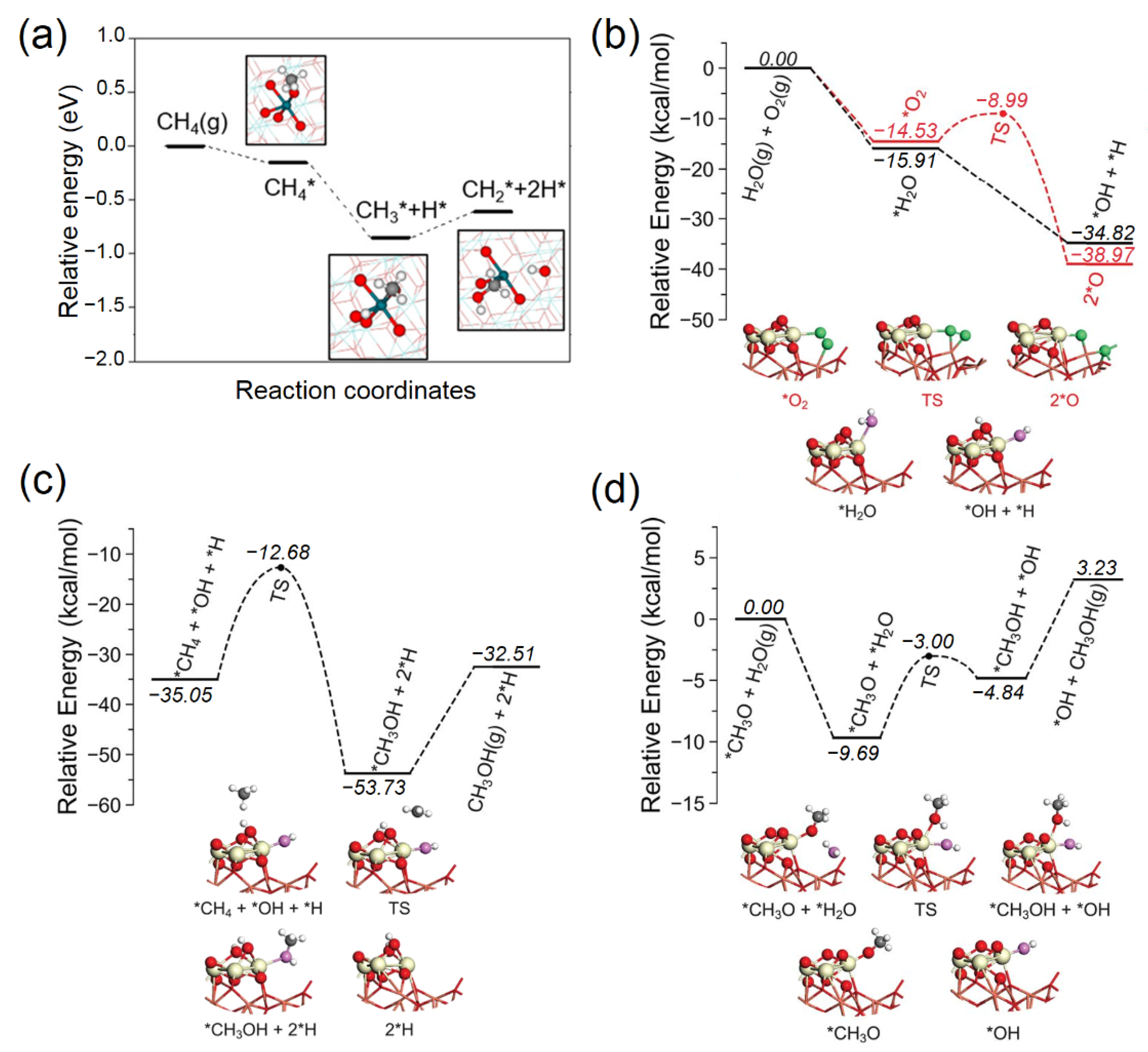 Catalysts 13 01226 g017