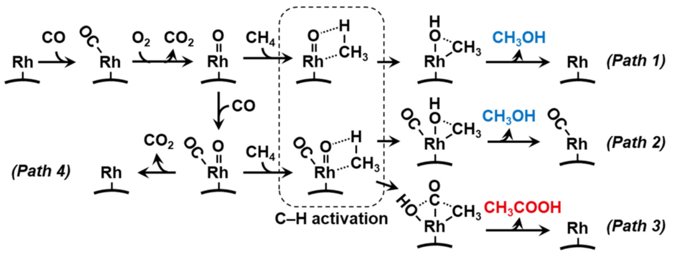 Catalysts 13 01226 g021