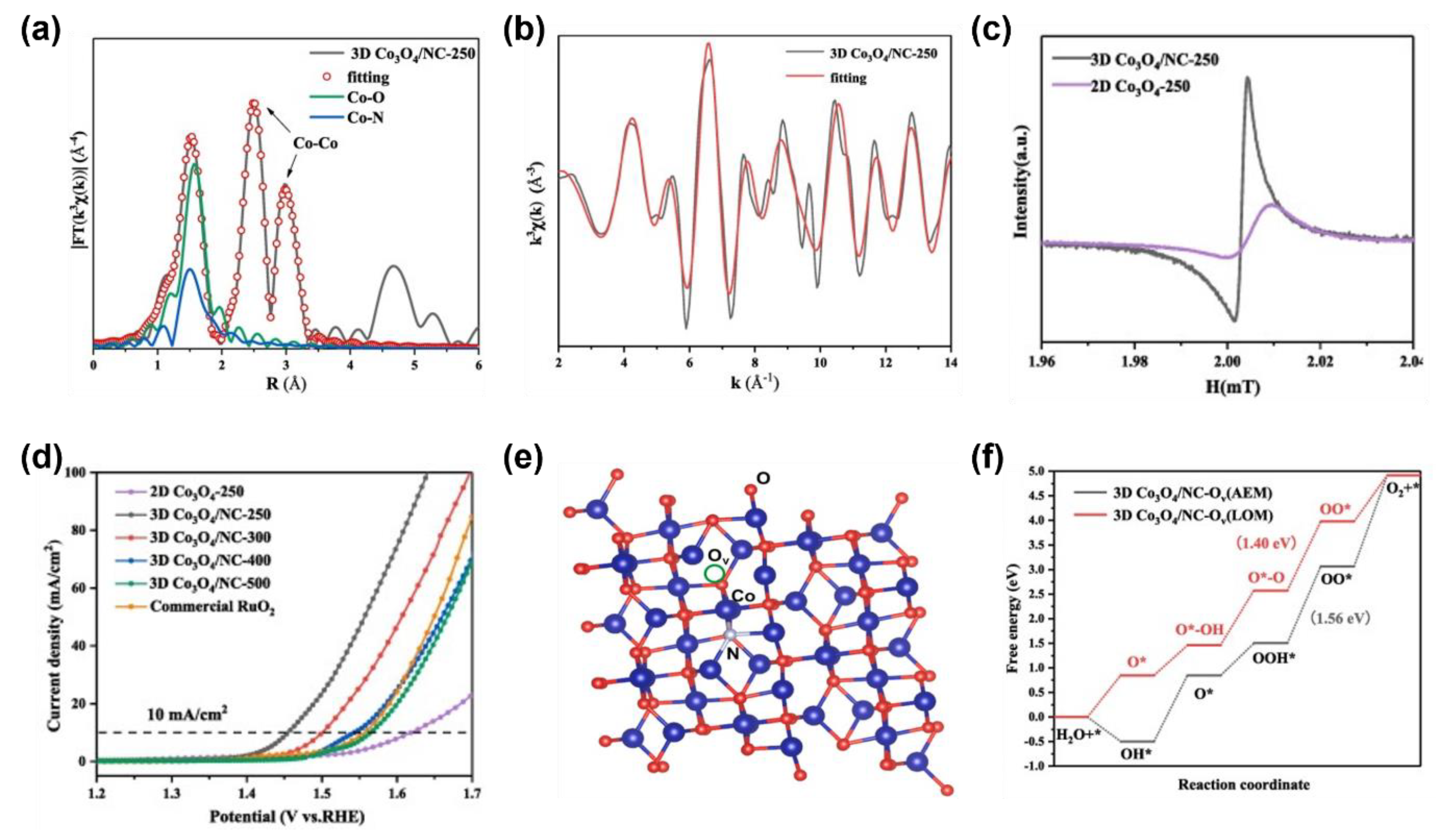 Catalysts 13 01230 g005