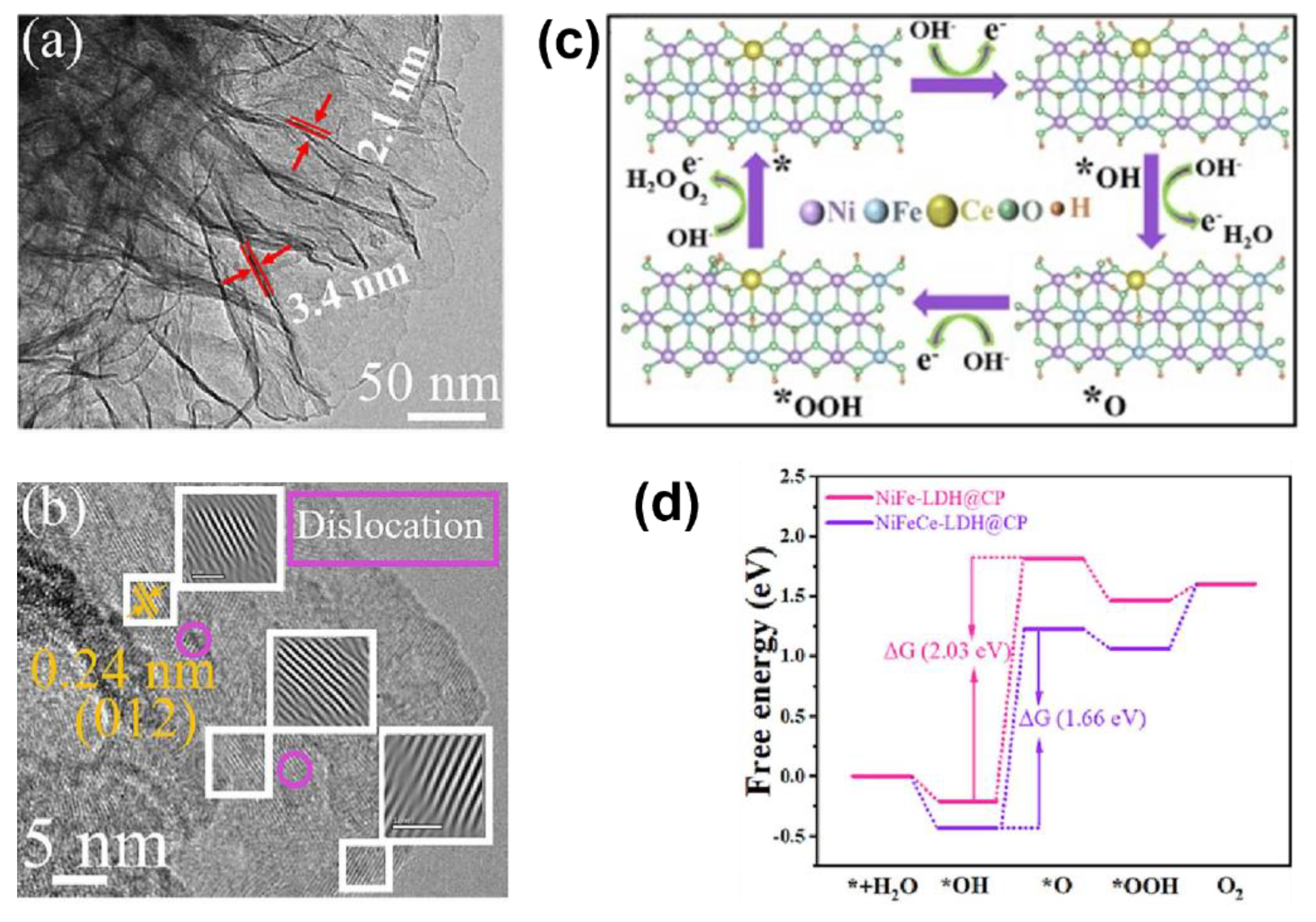 Catalysts 13 01230 g006