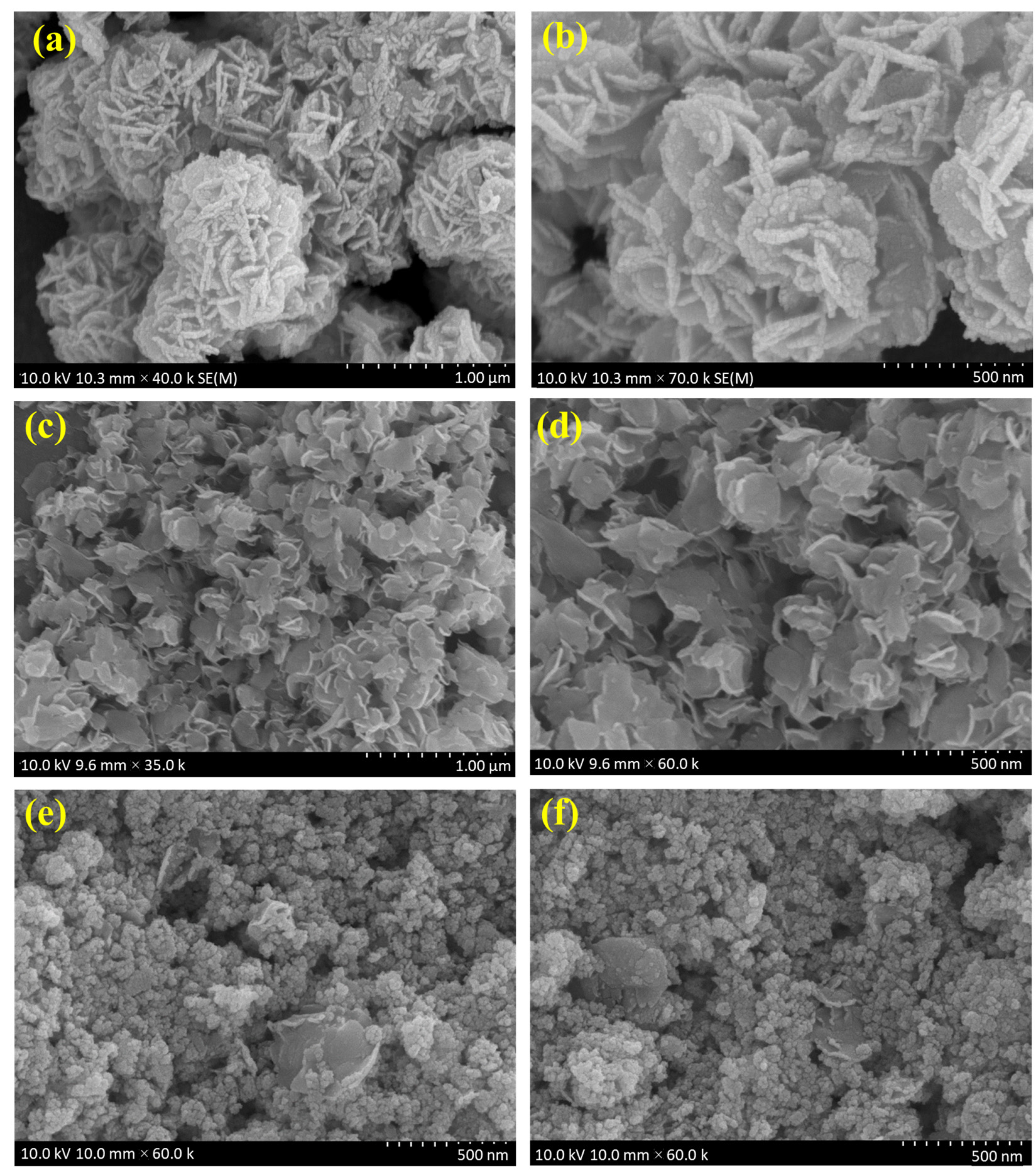 Catalysts 13 01238 g002
