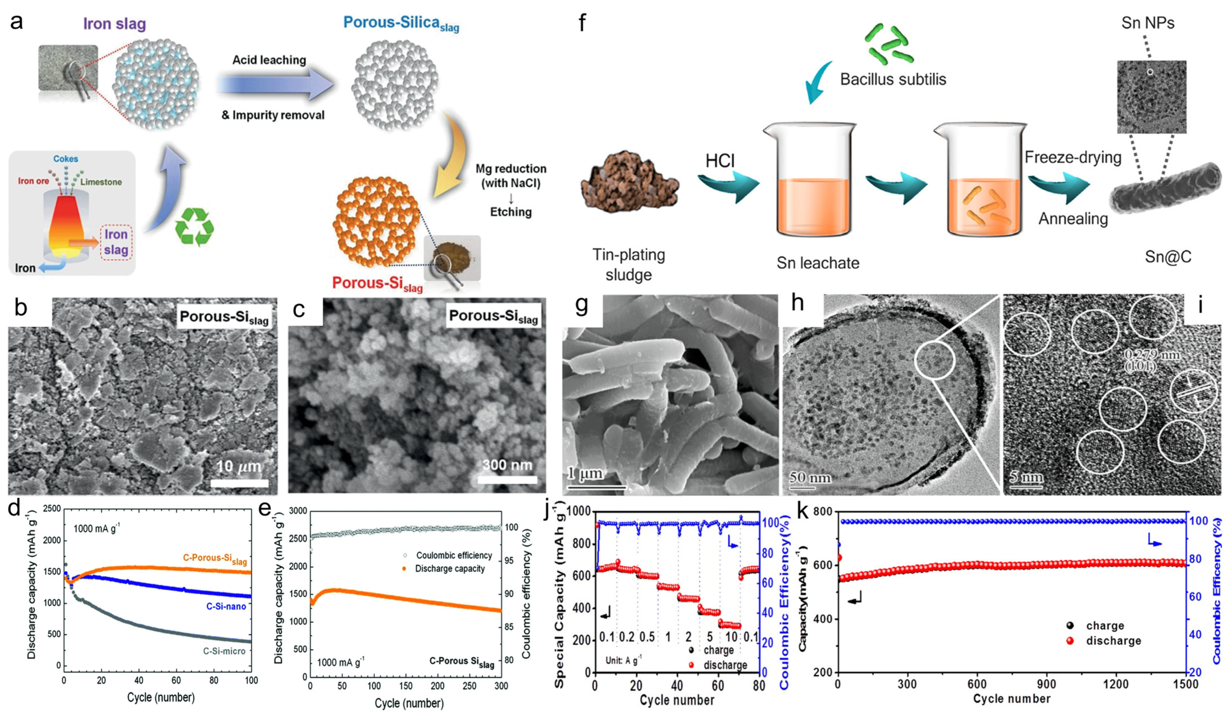 Catalysts 13 01241 g001