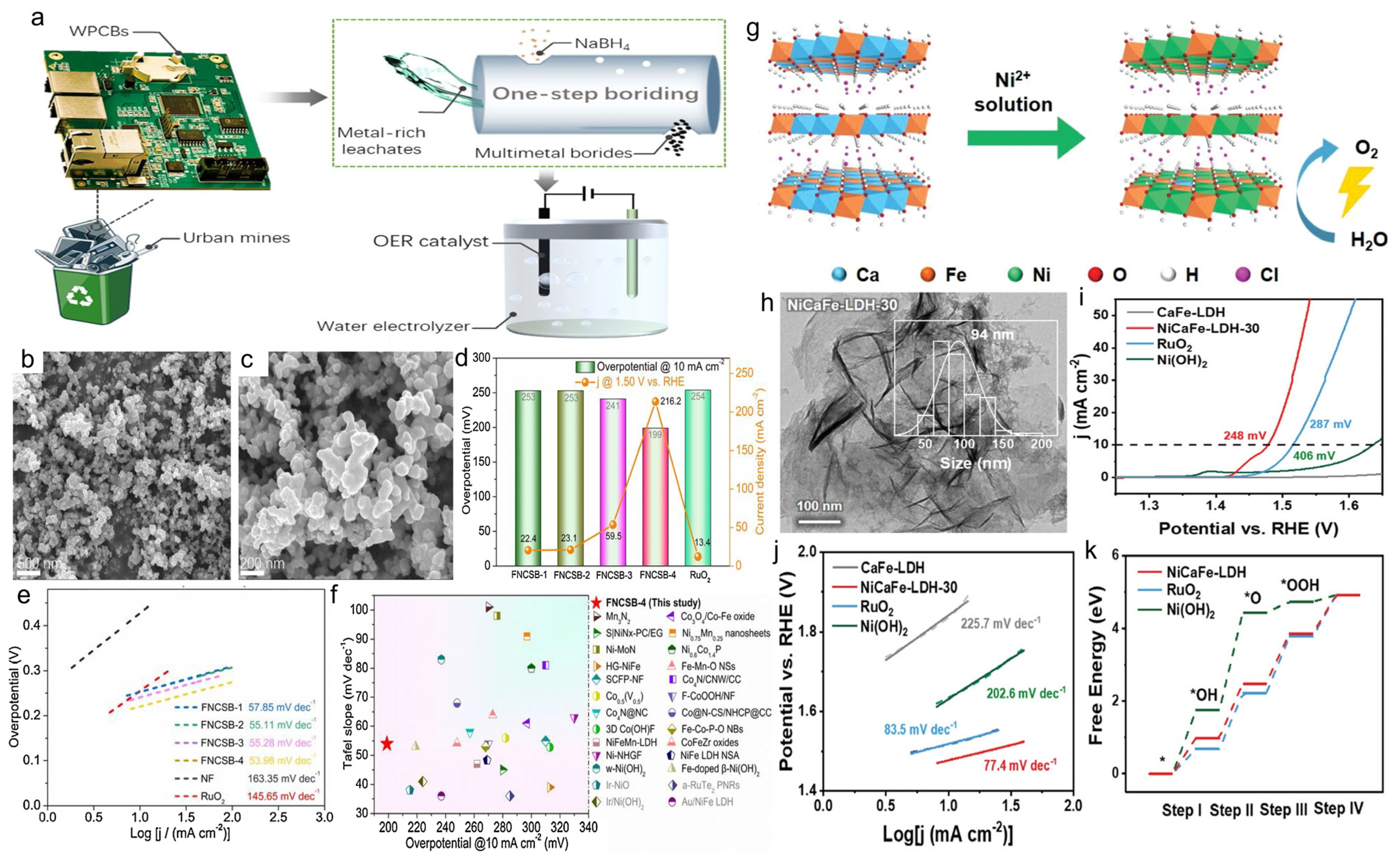 Catalysts 13 01241 g006