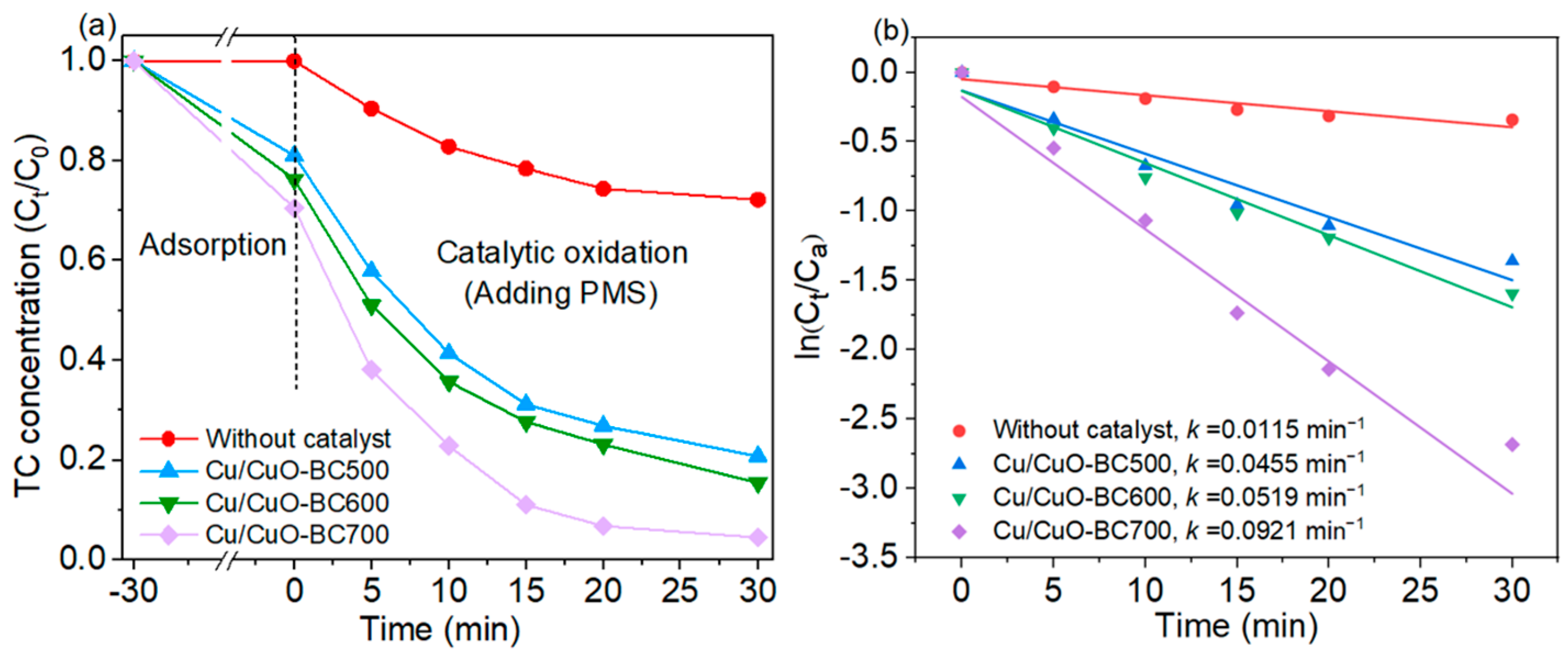 Catalysts 13 01246 g004