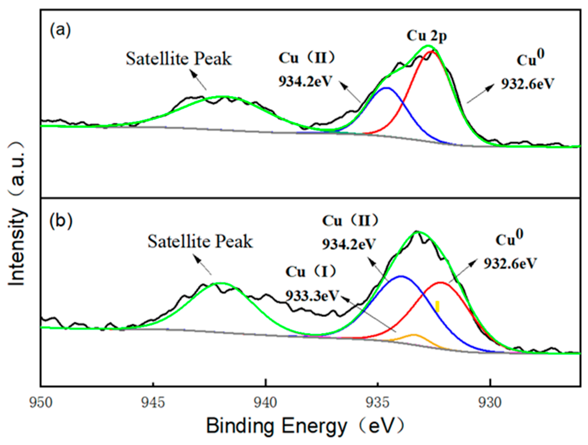 Catalysts 13 01246 g008