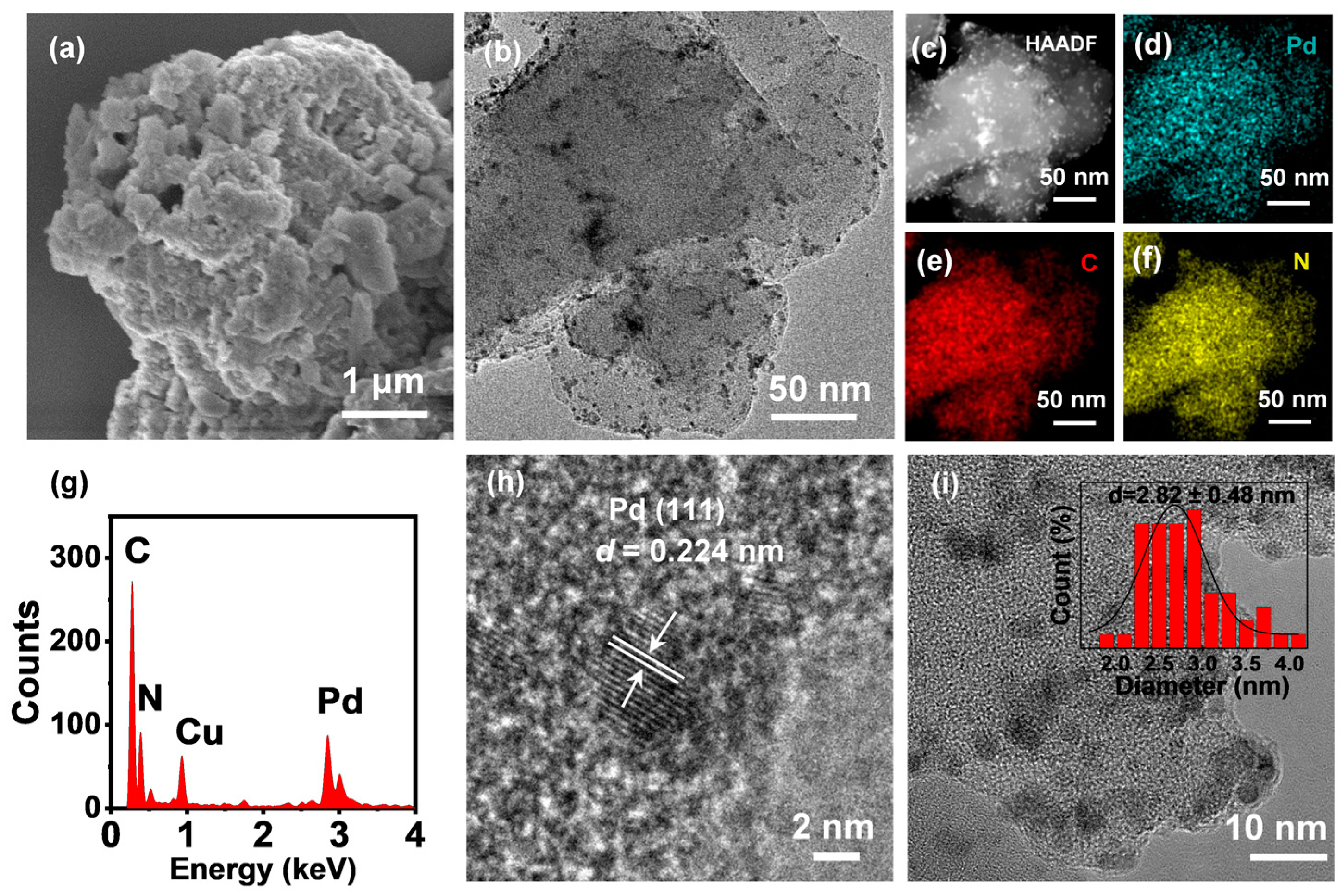 Catalysts 13 01248 g002