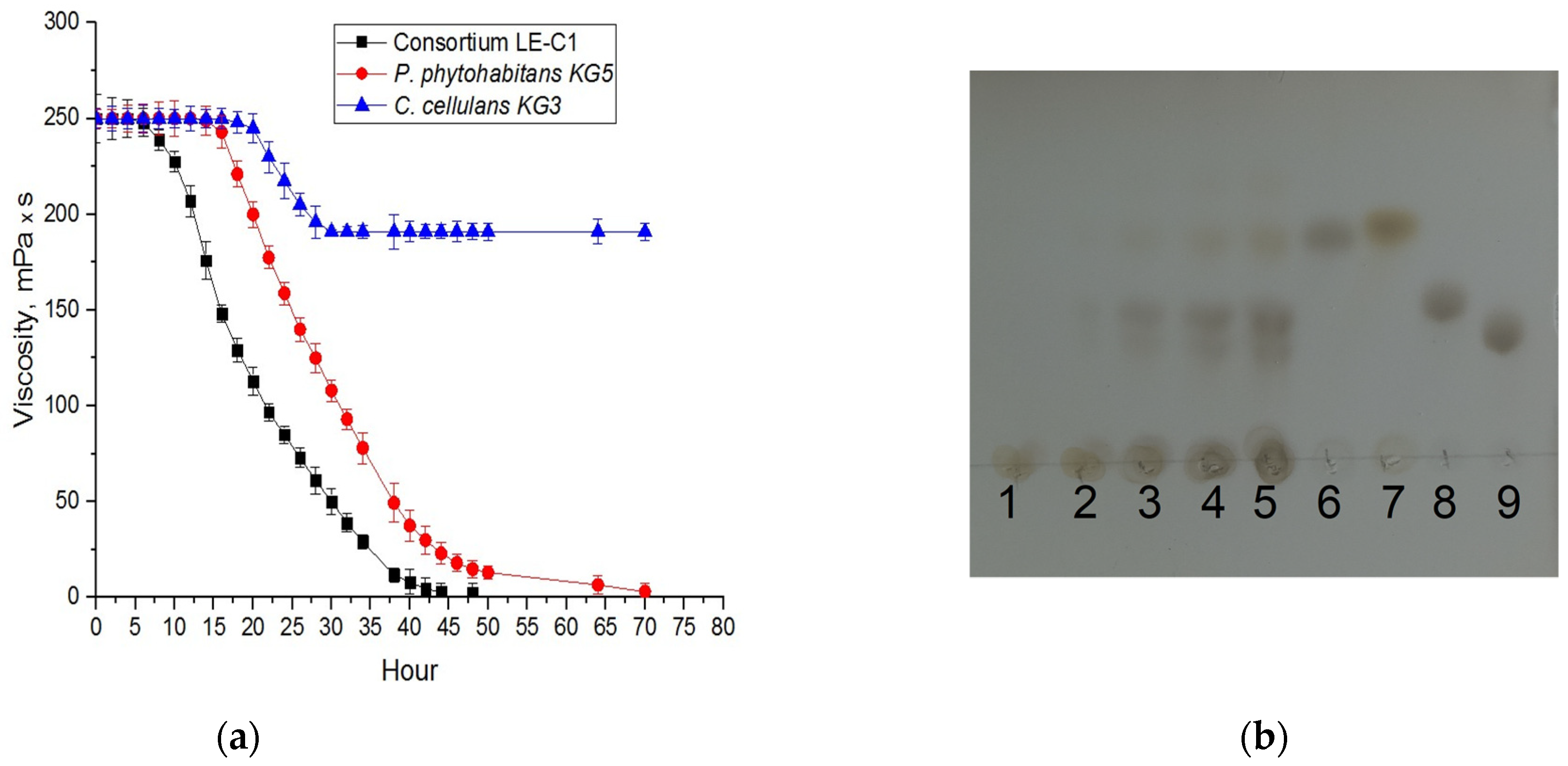 Catalysts 13 01249 g003