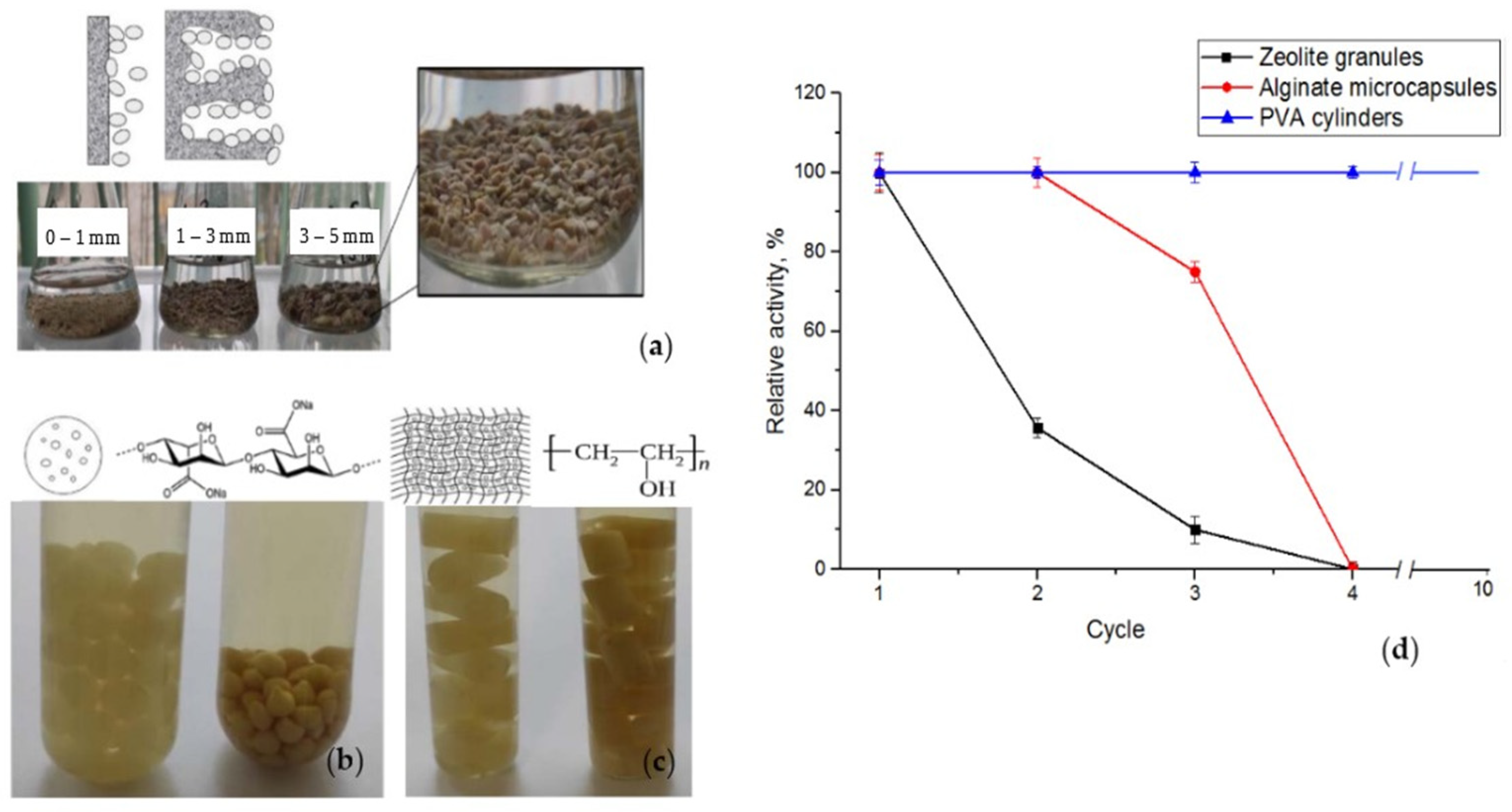 Catalysts 13 01249 g005